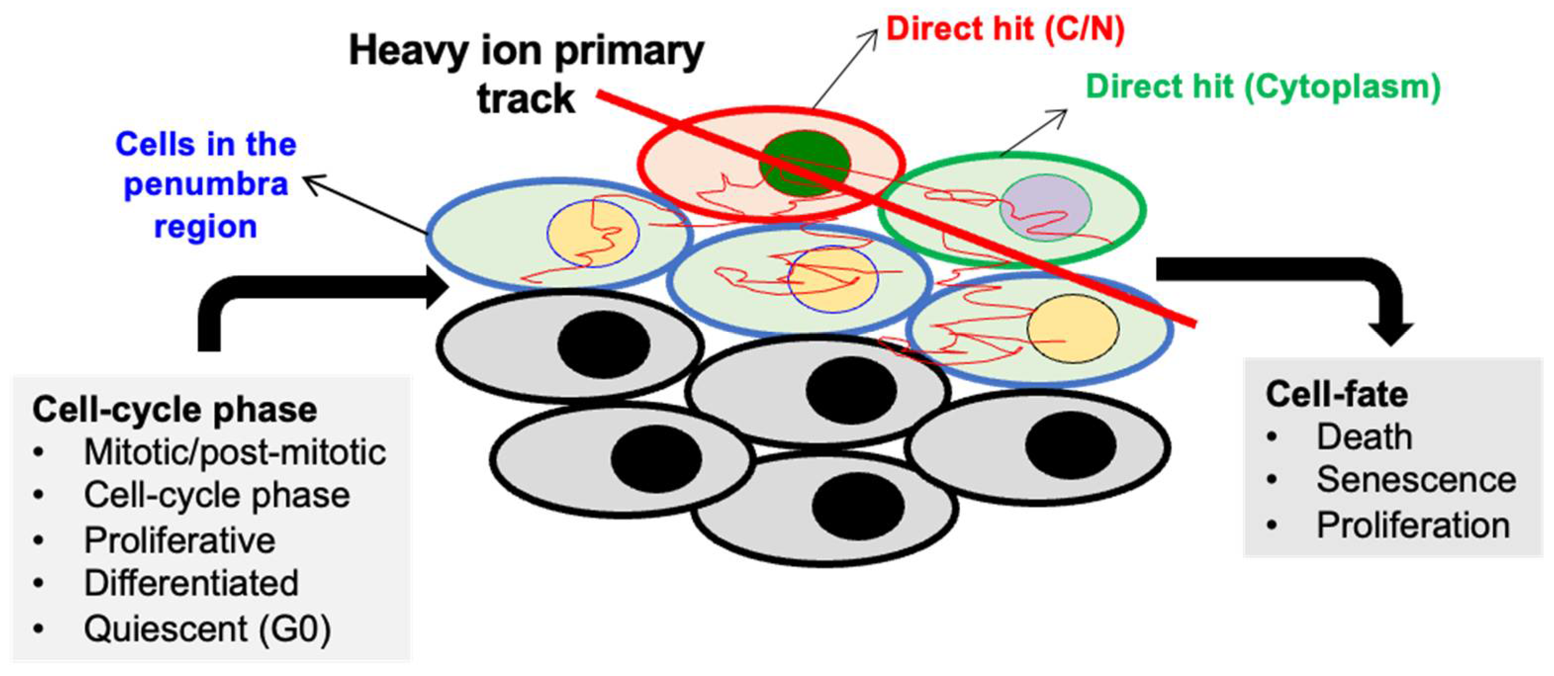 Curroncol 30 00416 g003 Curroncol 30 00416 g003