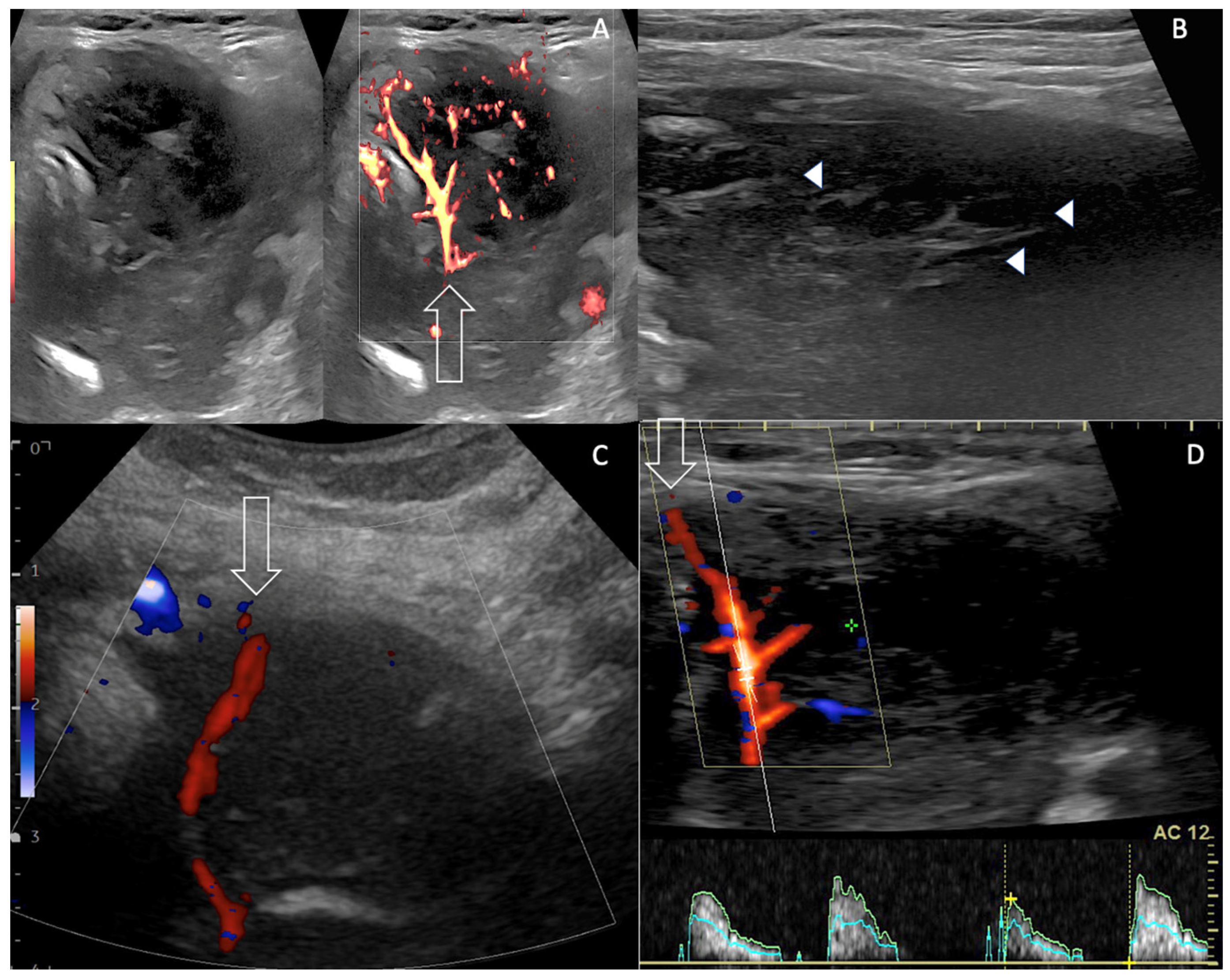 Curroncol 30 00435 g001