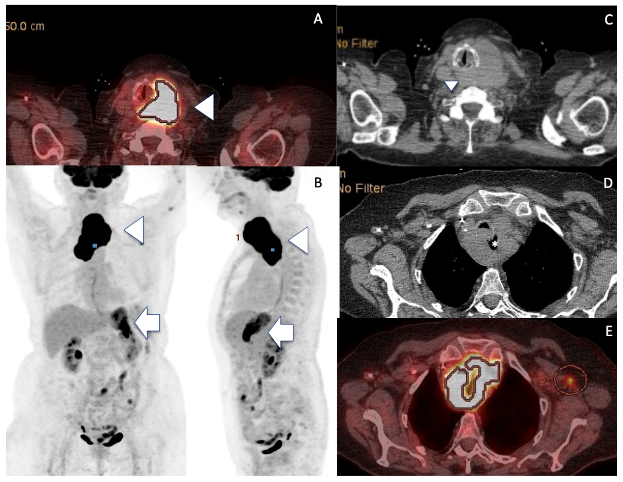 Curroncol 30 00435 g003
