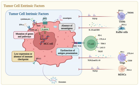 Current Landscape of Immune Checkpoint Inhibitor Therapy for ...
