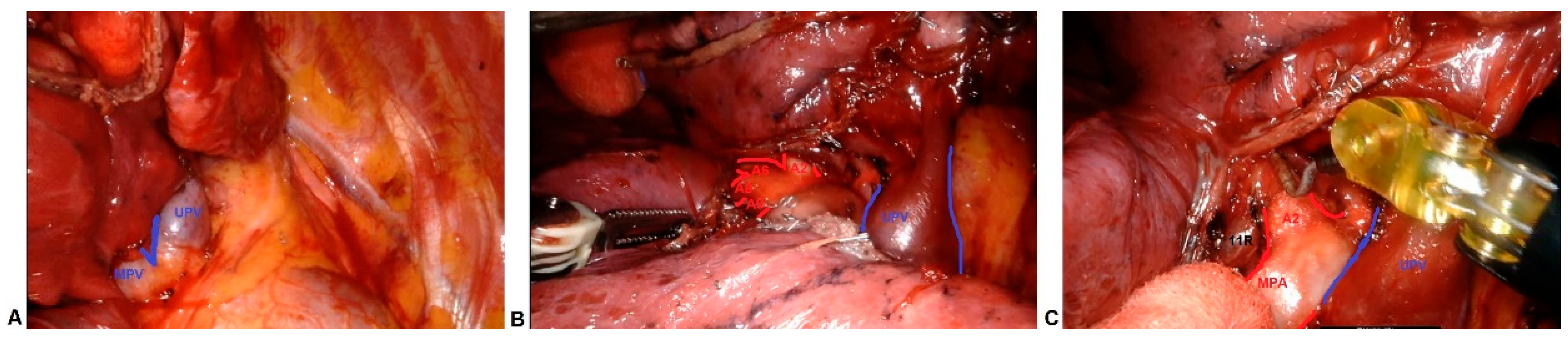 Curroncol 30 00441 g002