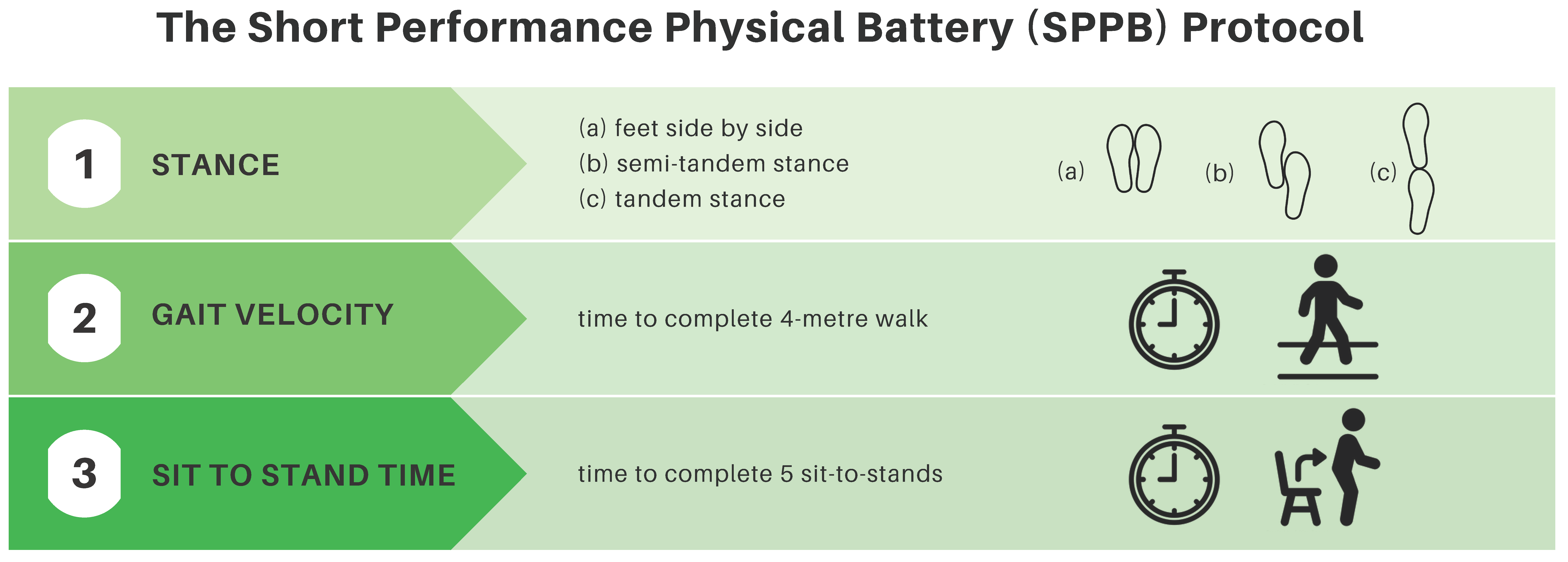 Curroncol 30 00461 g002