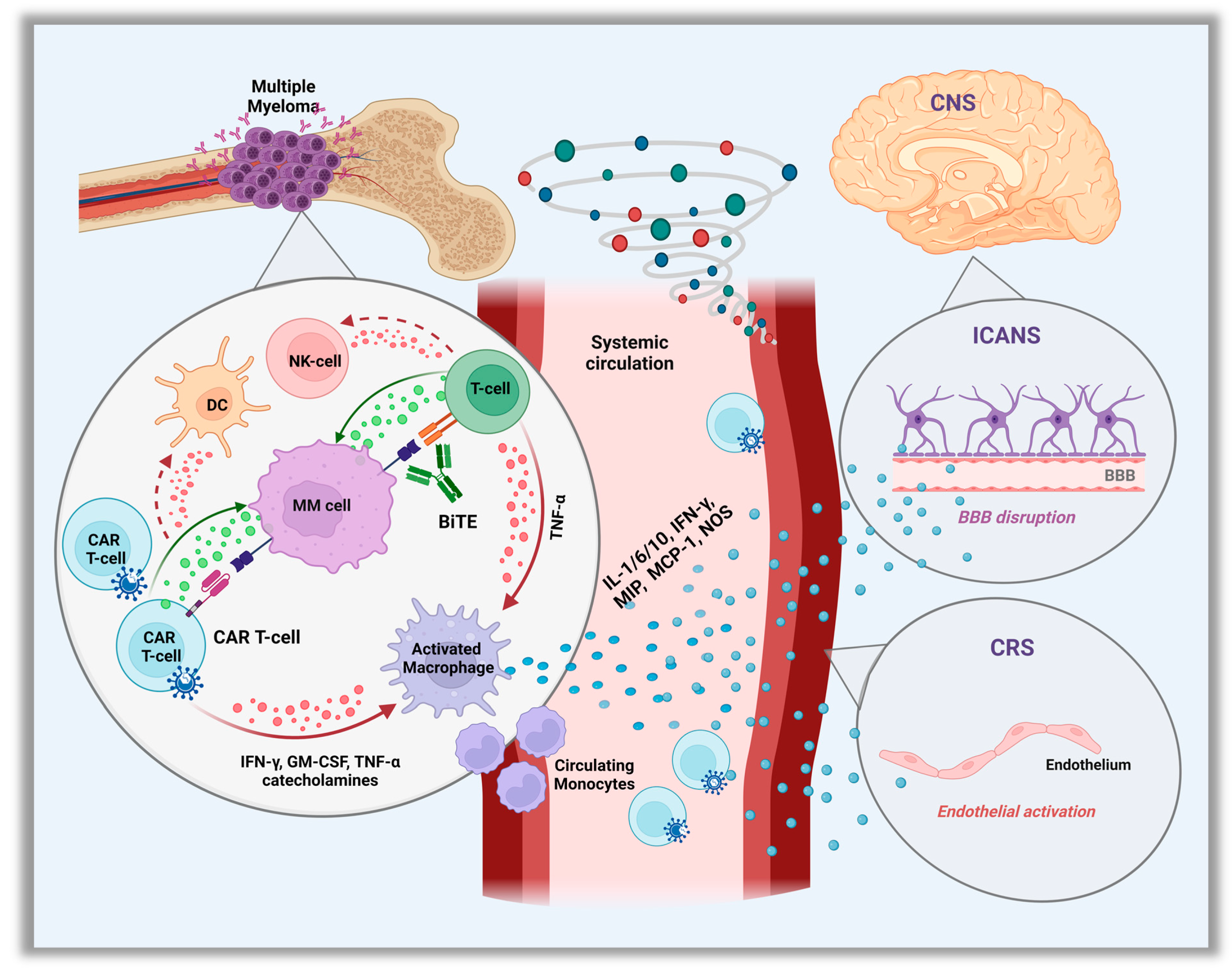 Curroncol 30 00467 g001 Curroncol 30 00467 g001