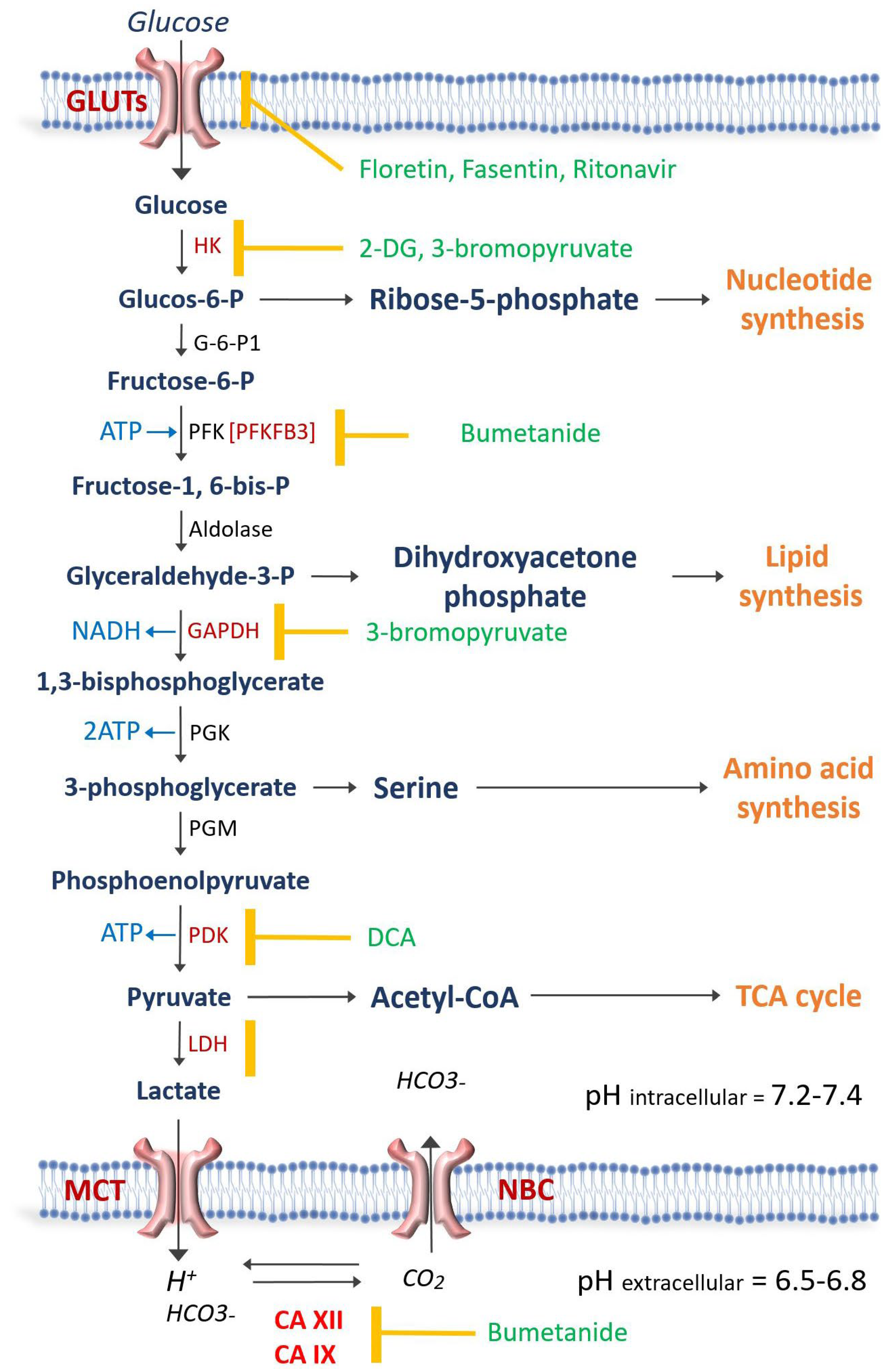 Curroncol 30 00485 g001 Curroncol 30 00485 g001
