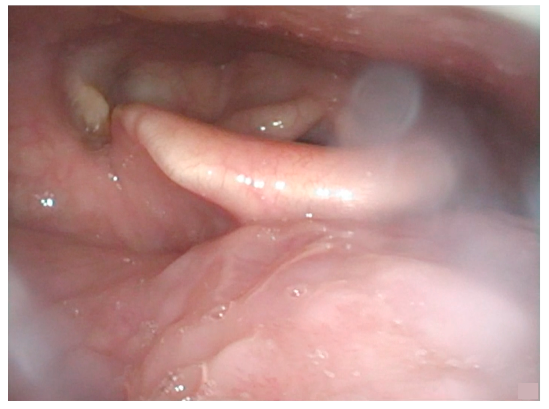 Curroncol 30 00492 g001 Curroncol 30 00492 g001