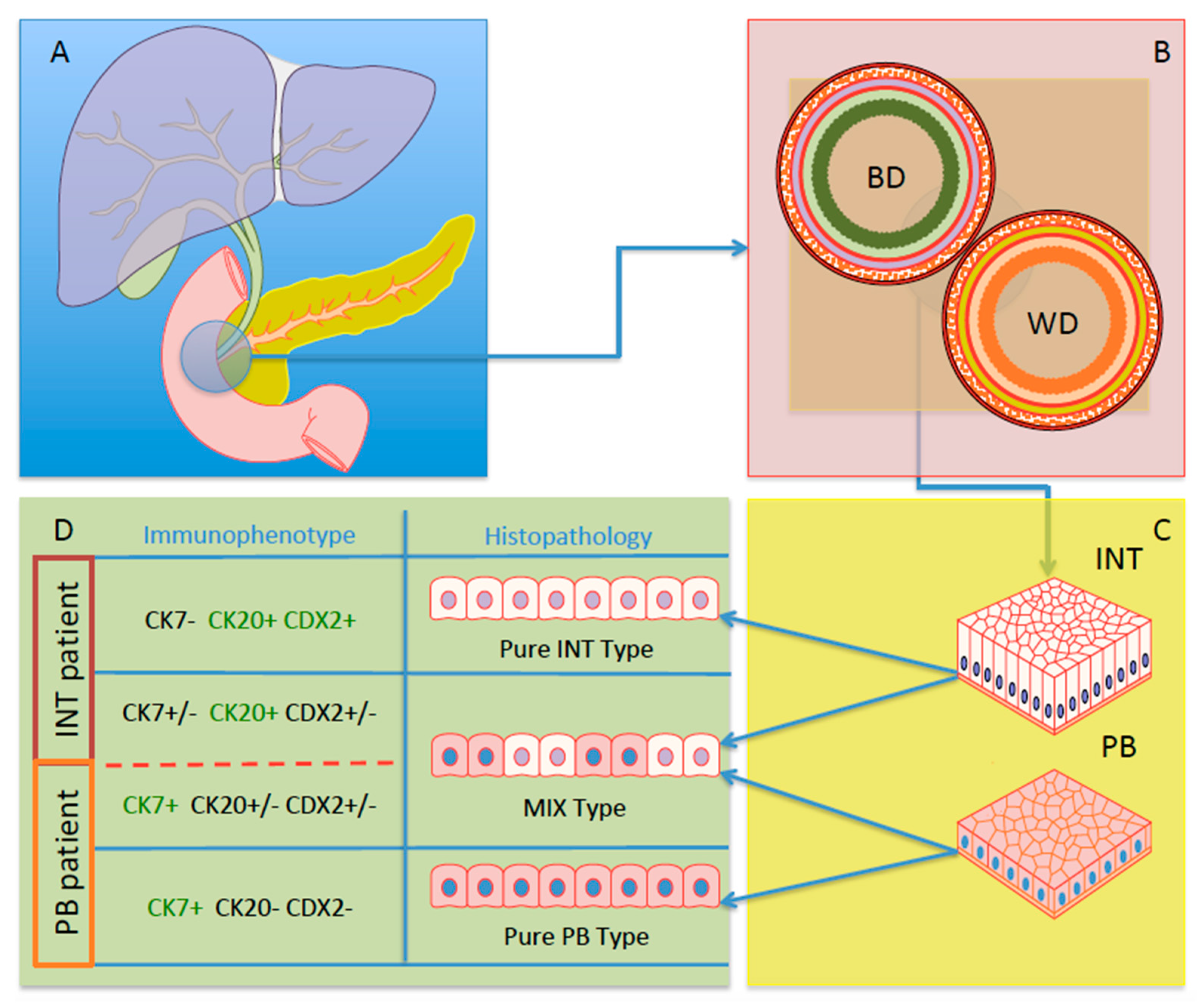 Curroncol 30 00507 g001