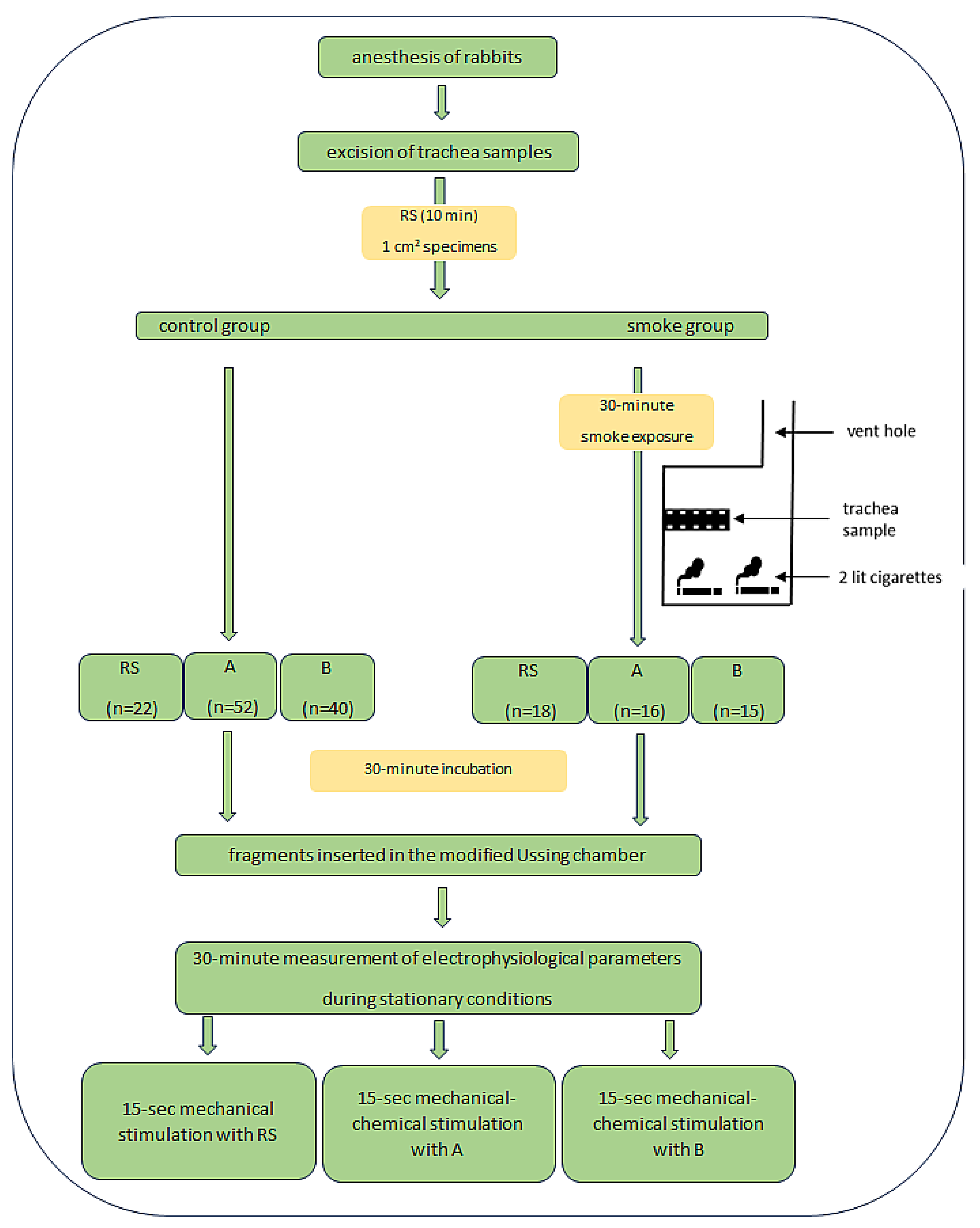 Curroncol 30 00508 g001 Curroncol 30 00508 g001
