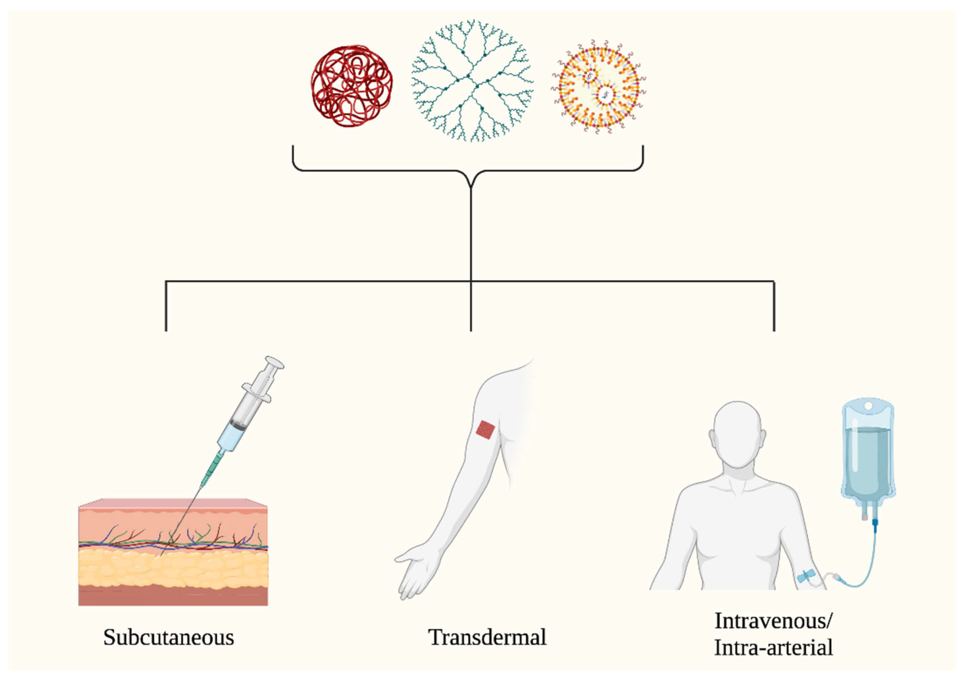 Curroncol 30 00516 g004 Curroncol 30 00516 g004