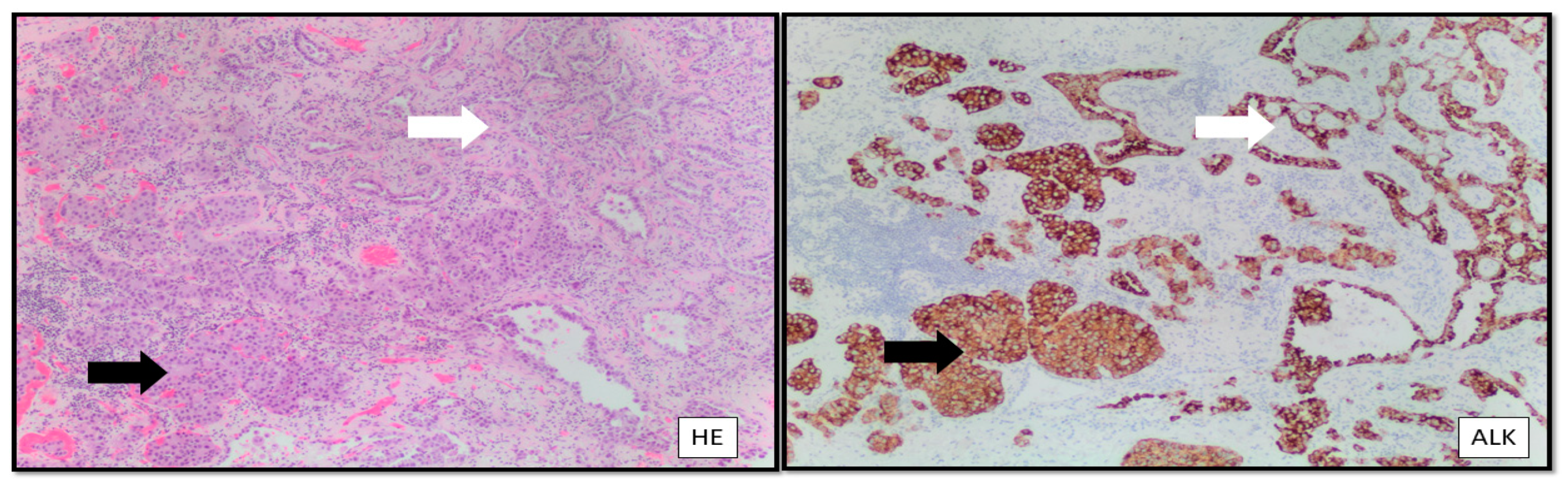 Curroncol 30 00523 g001