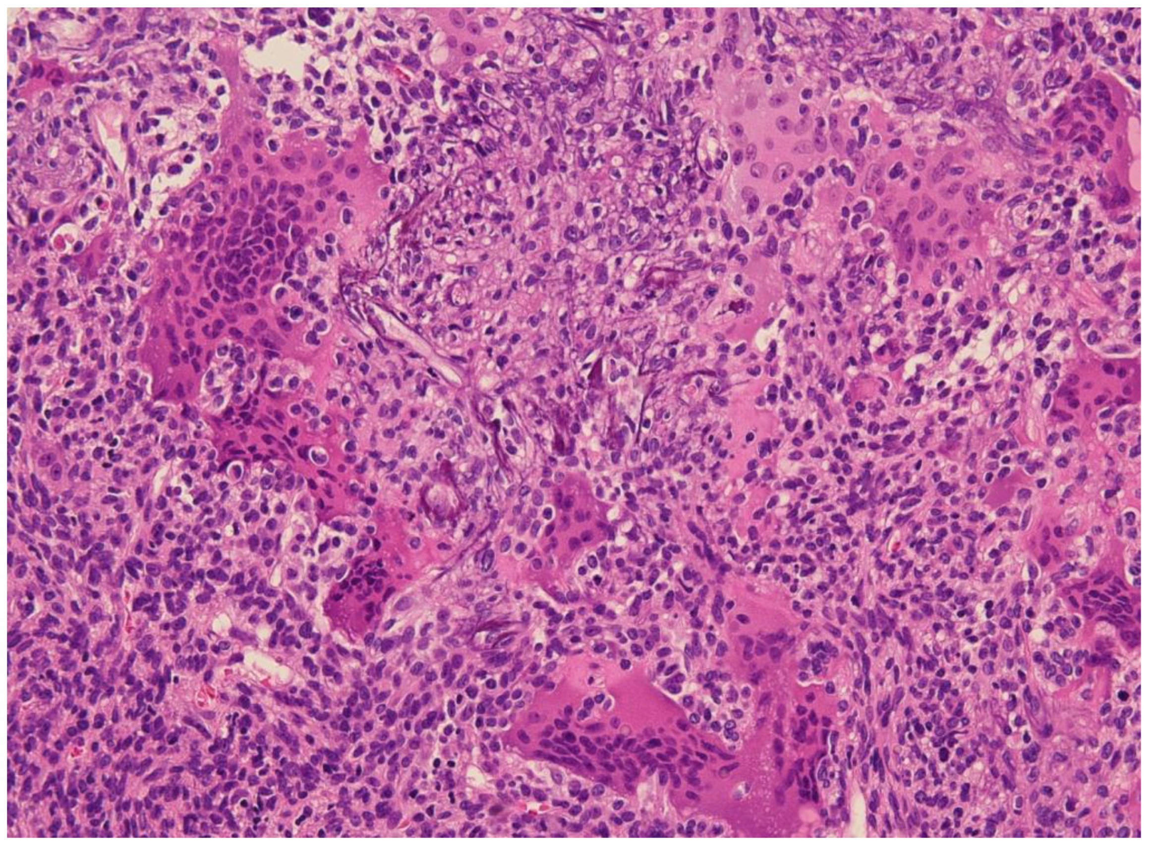 Curroncol 30 00541 g002