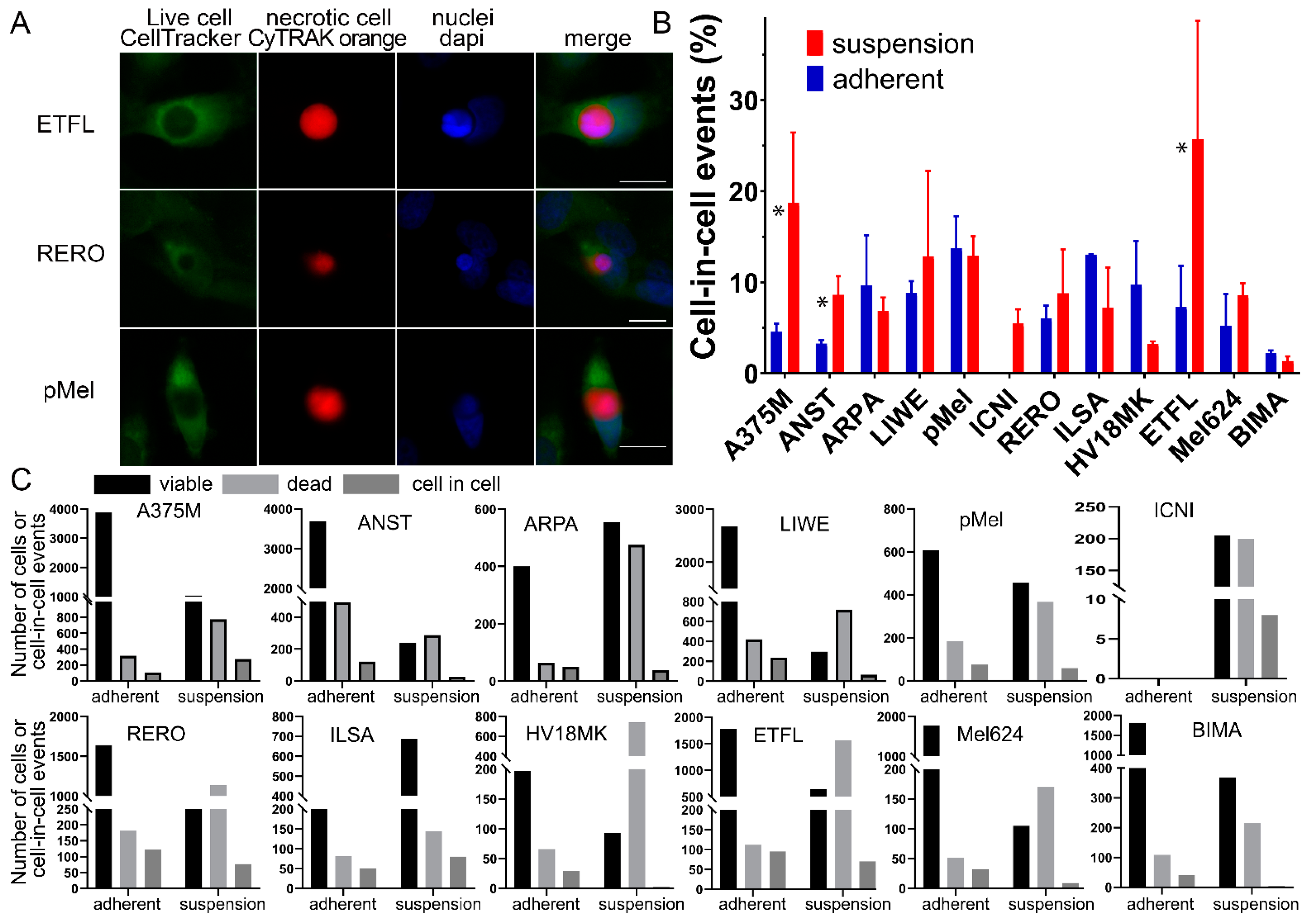Curroncol 30 00547 g001 Curroncol 30 00547 g001