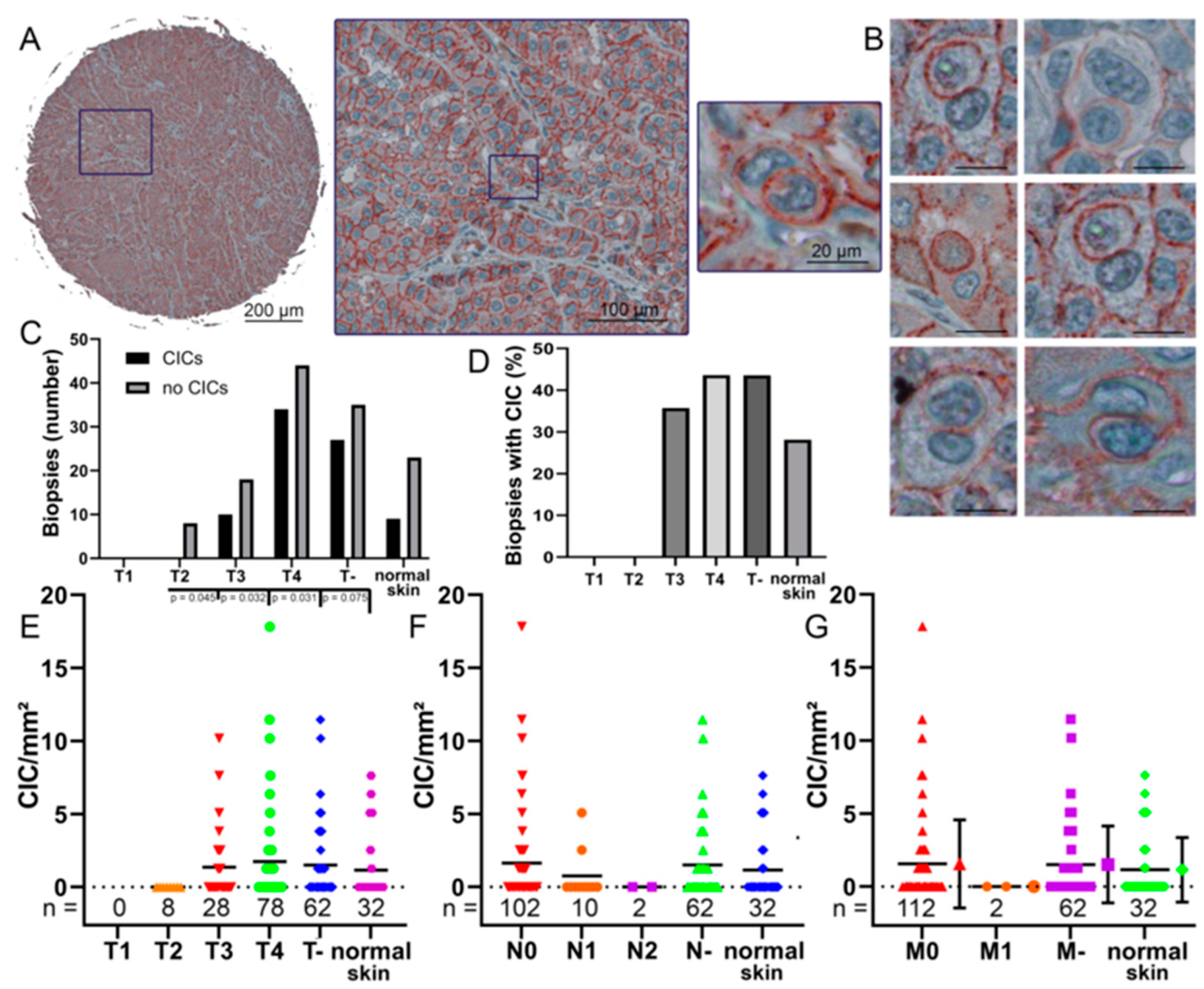 Curroncol 30 00547 g003 Curroncol 30 00547 g003