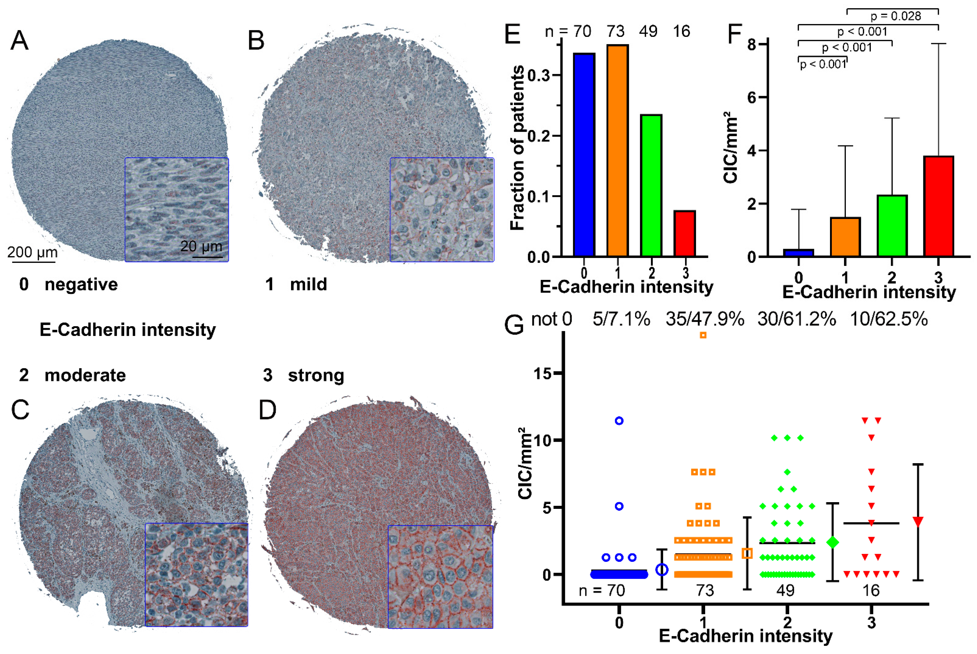 Curroncol 30 00547 g004 Curroncol 30 00547 g004