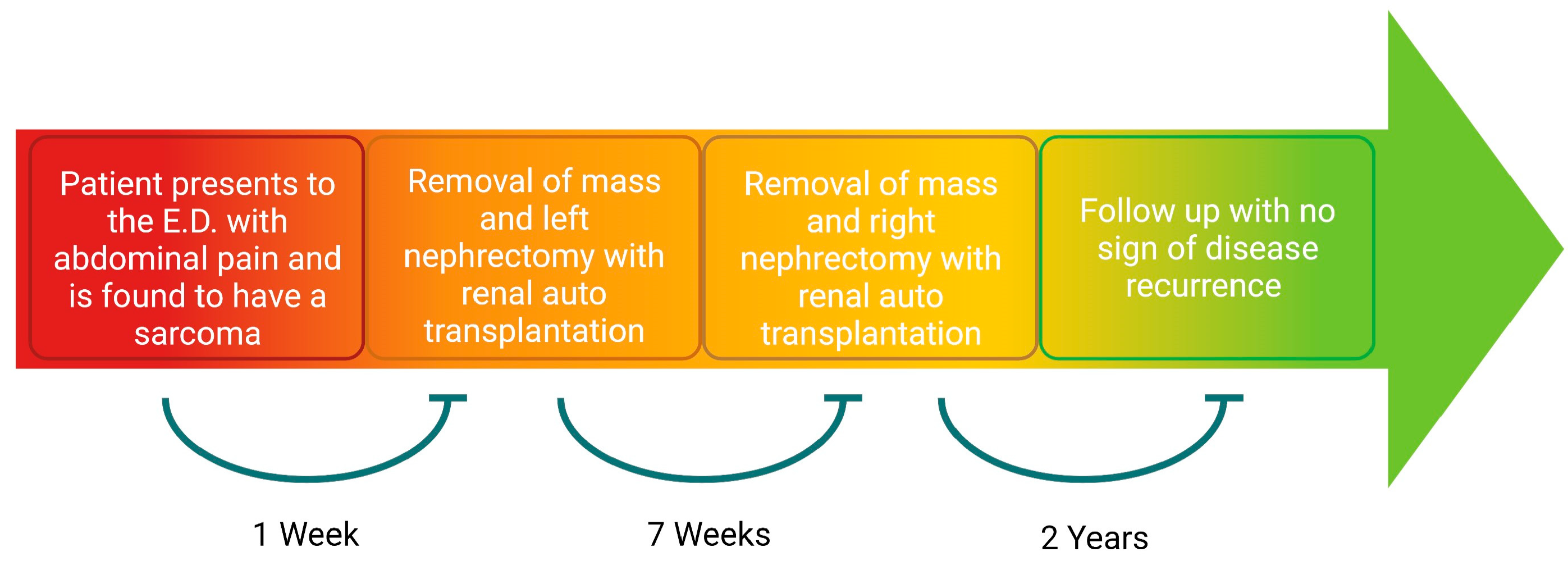 Curroncol 30 00552 g003 Curroncol 30 00552 g003