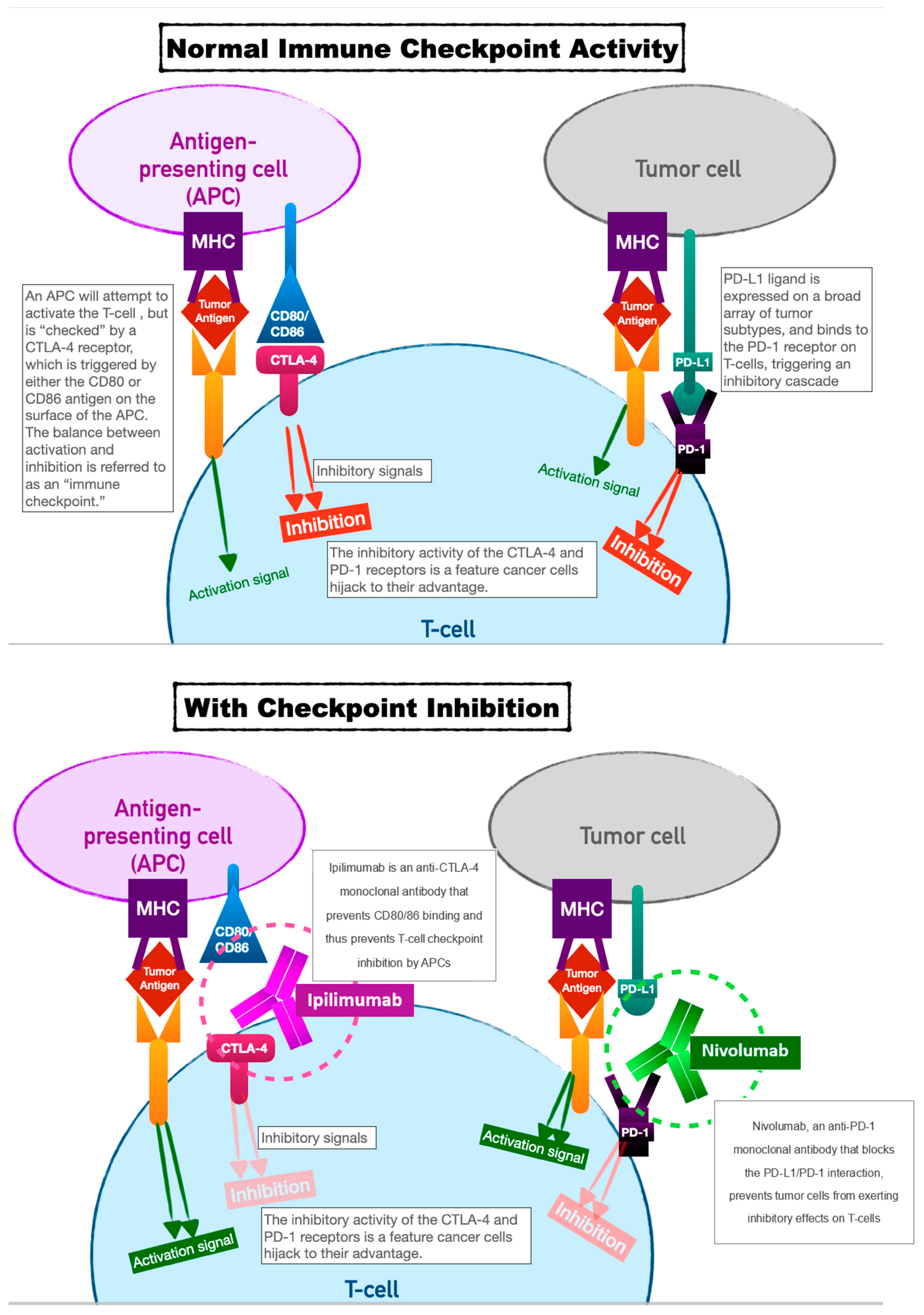 Curroncol 30 00554 g001 Curroncol 30 00554 g001