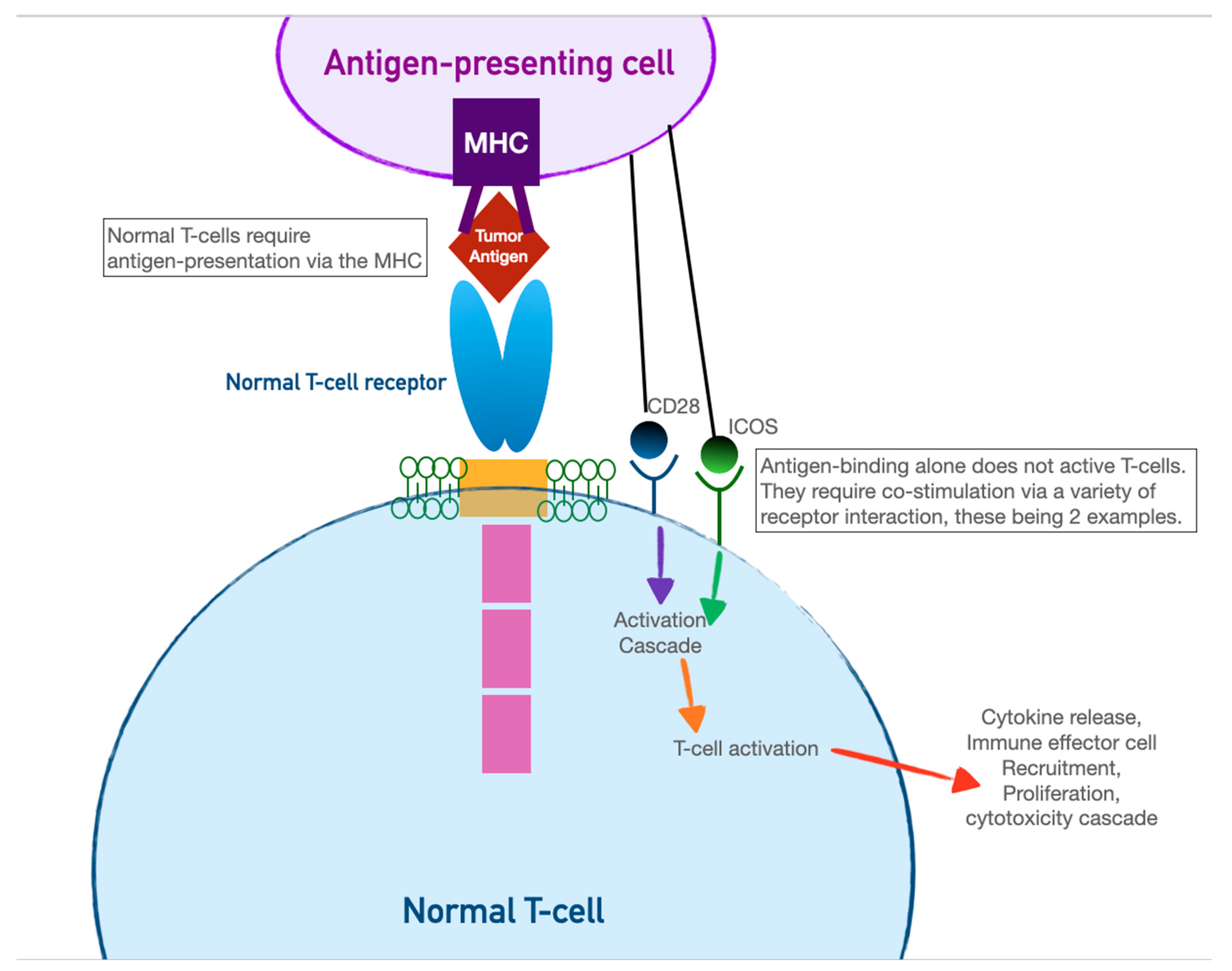 Curroncol 30 00554 g002a Curroncol 30 00554 g002a