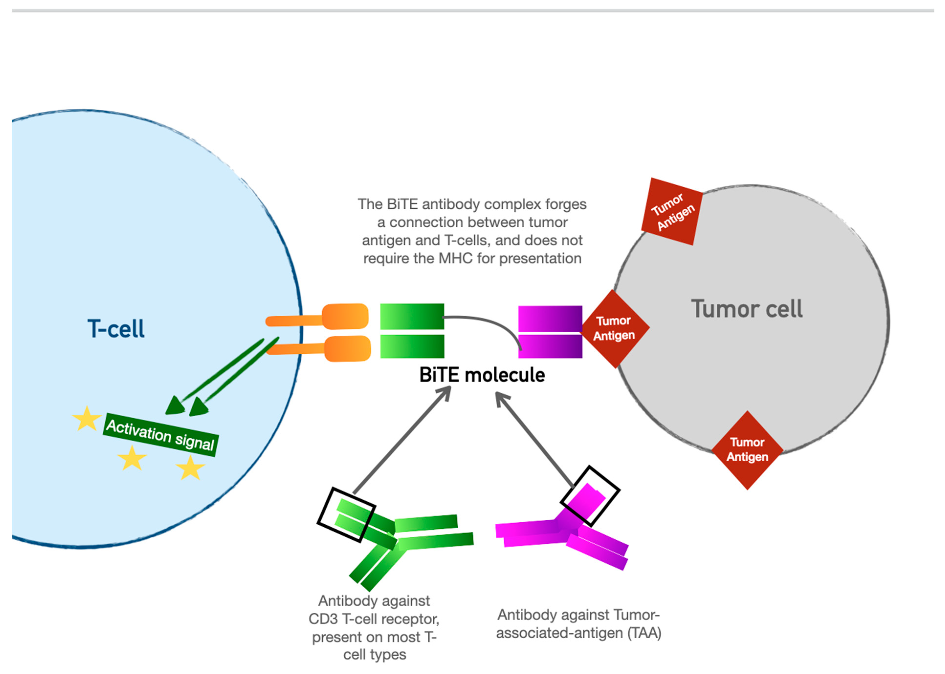 Curroncol 30 00554 g003 Curroncol 30 00554 g003