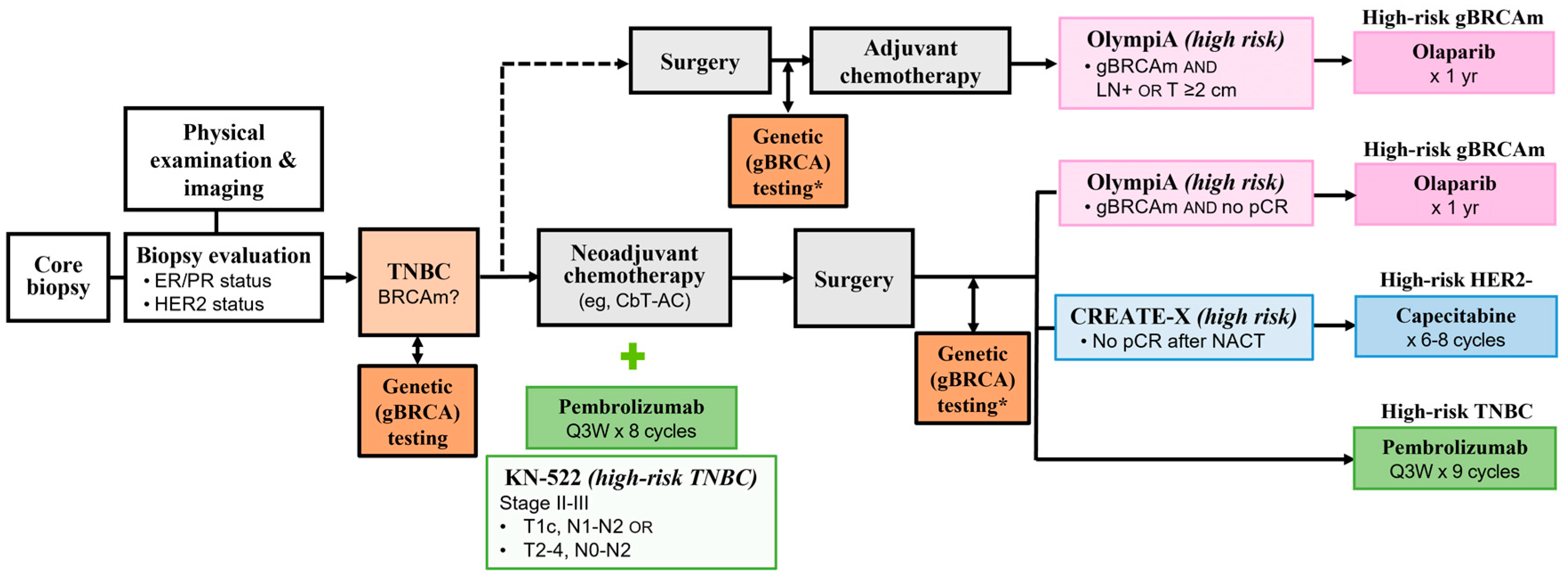Clinical Considerations for the Integration of Adjuvant