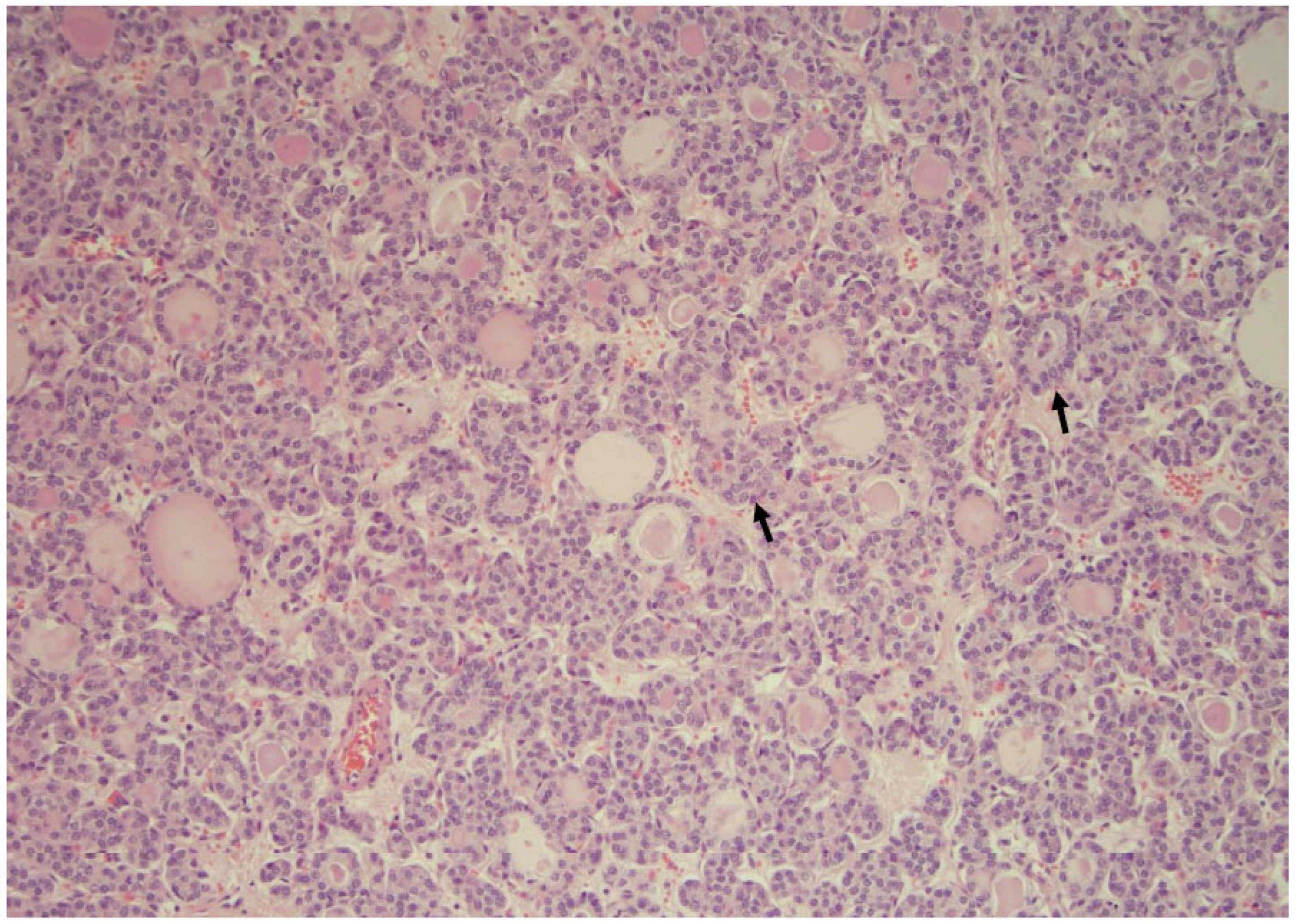 Curroncol 30 00562 g001