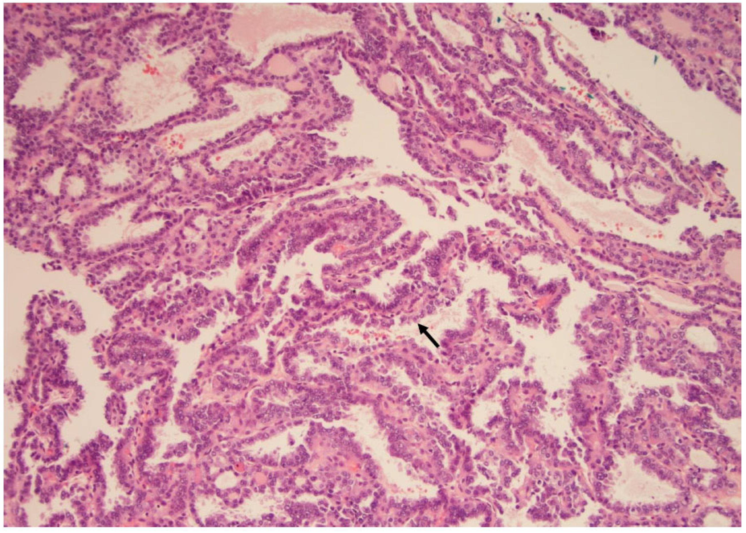 Curroncol 30 00562 g002