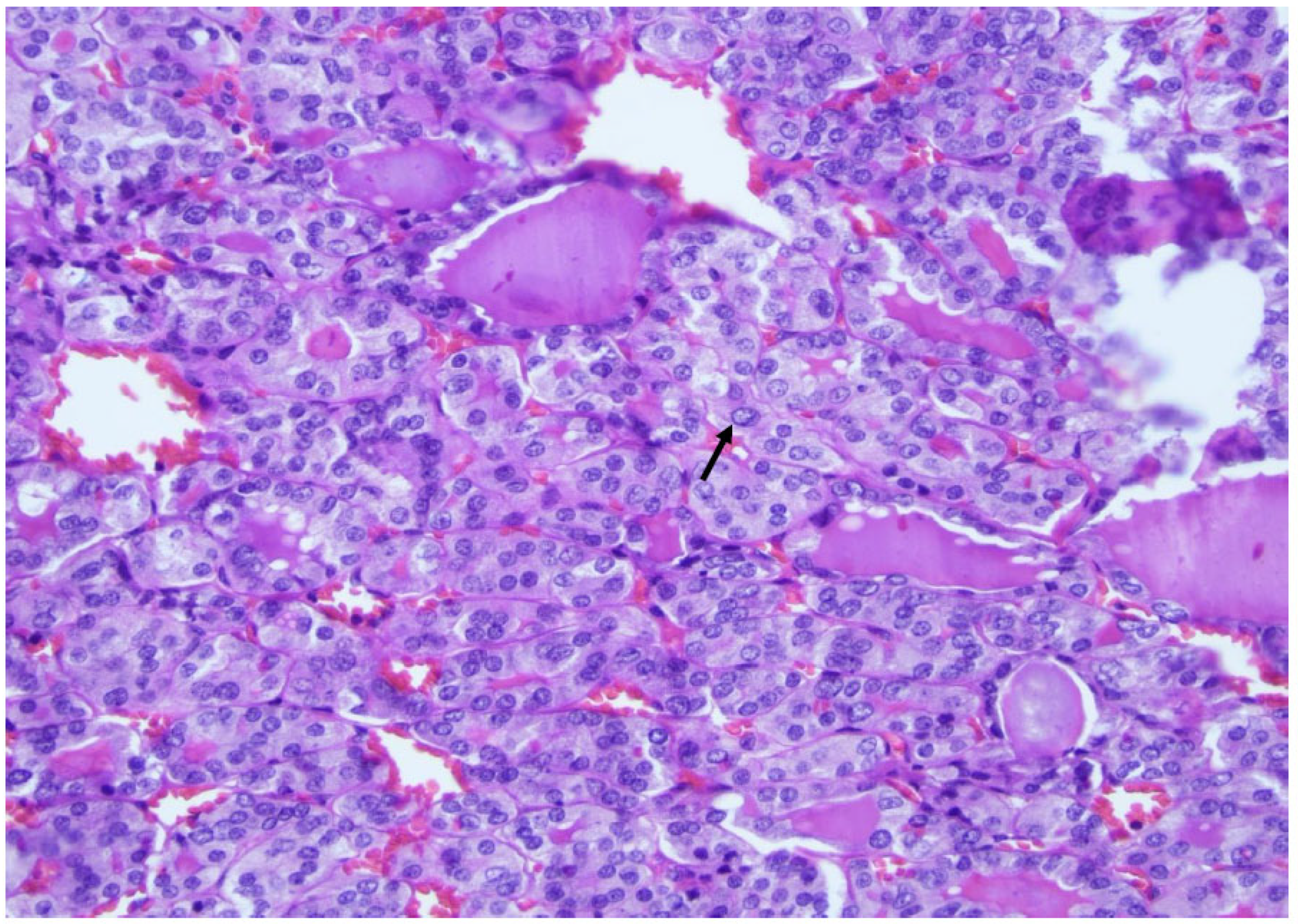 Curroncol 30 00562 g003