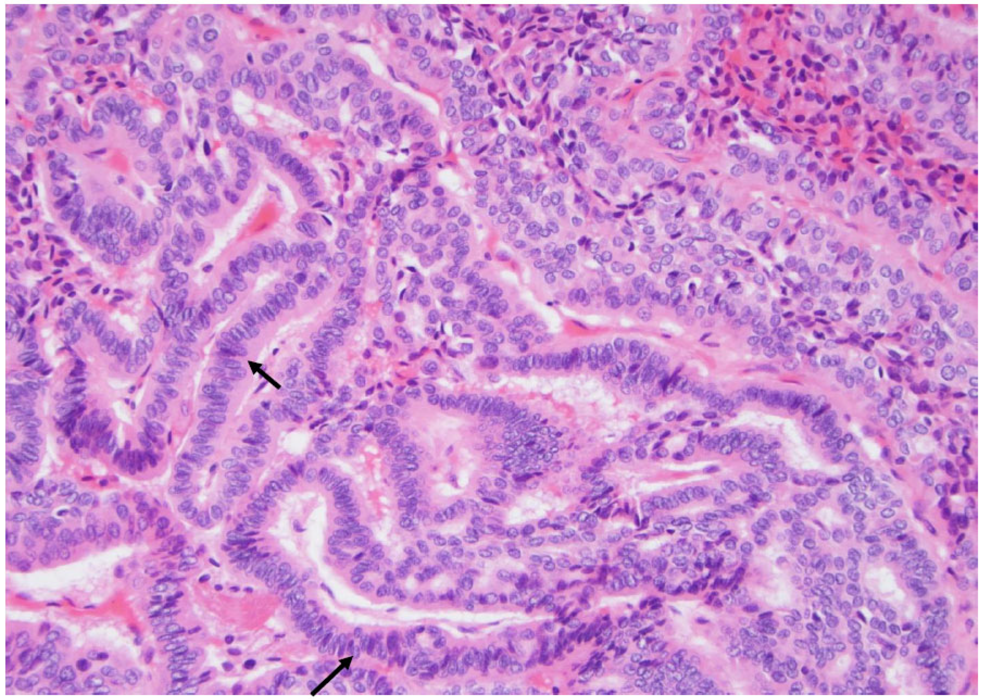 Curroncol 30 00562 g004