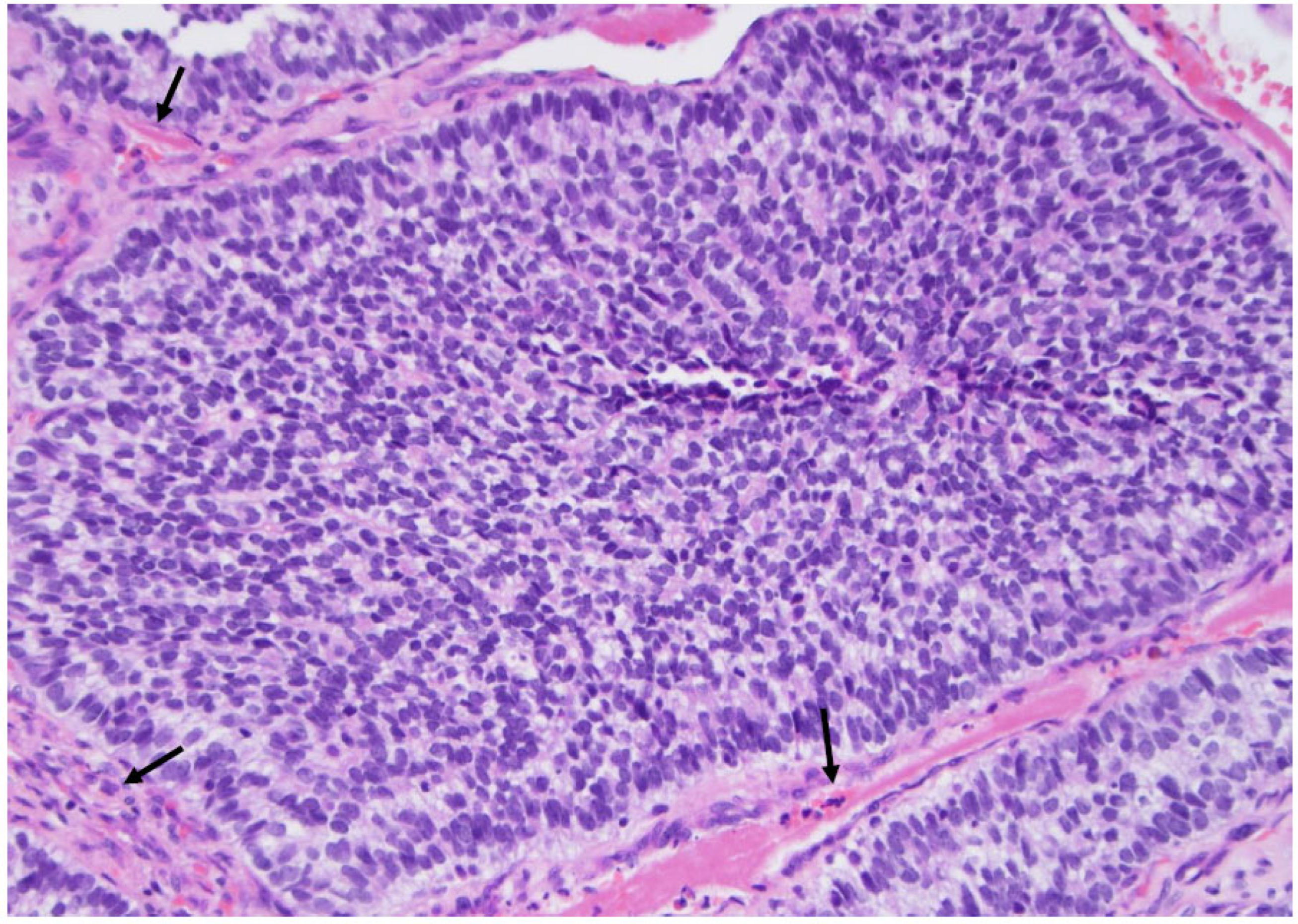 Curroncol 30 00562 g005