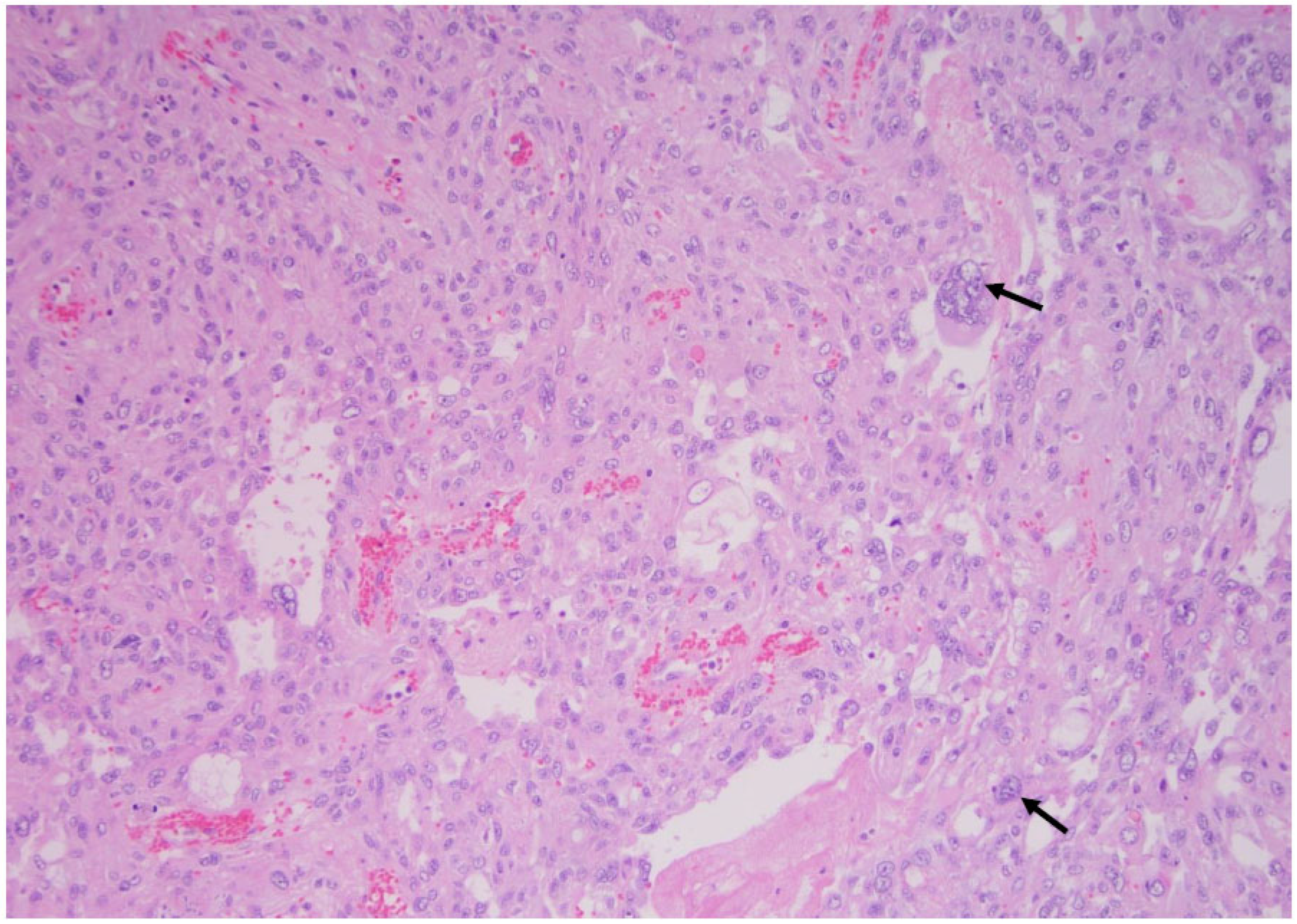 Curroncol 30 00562 g007