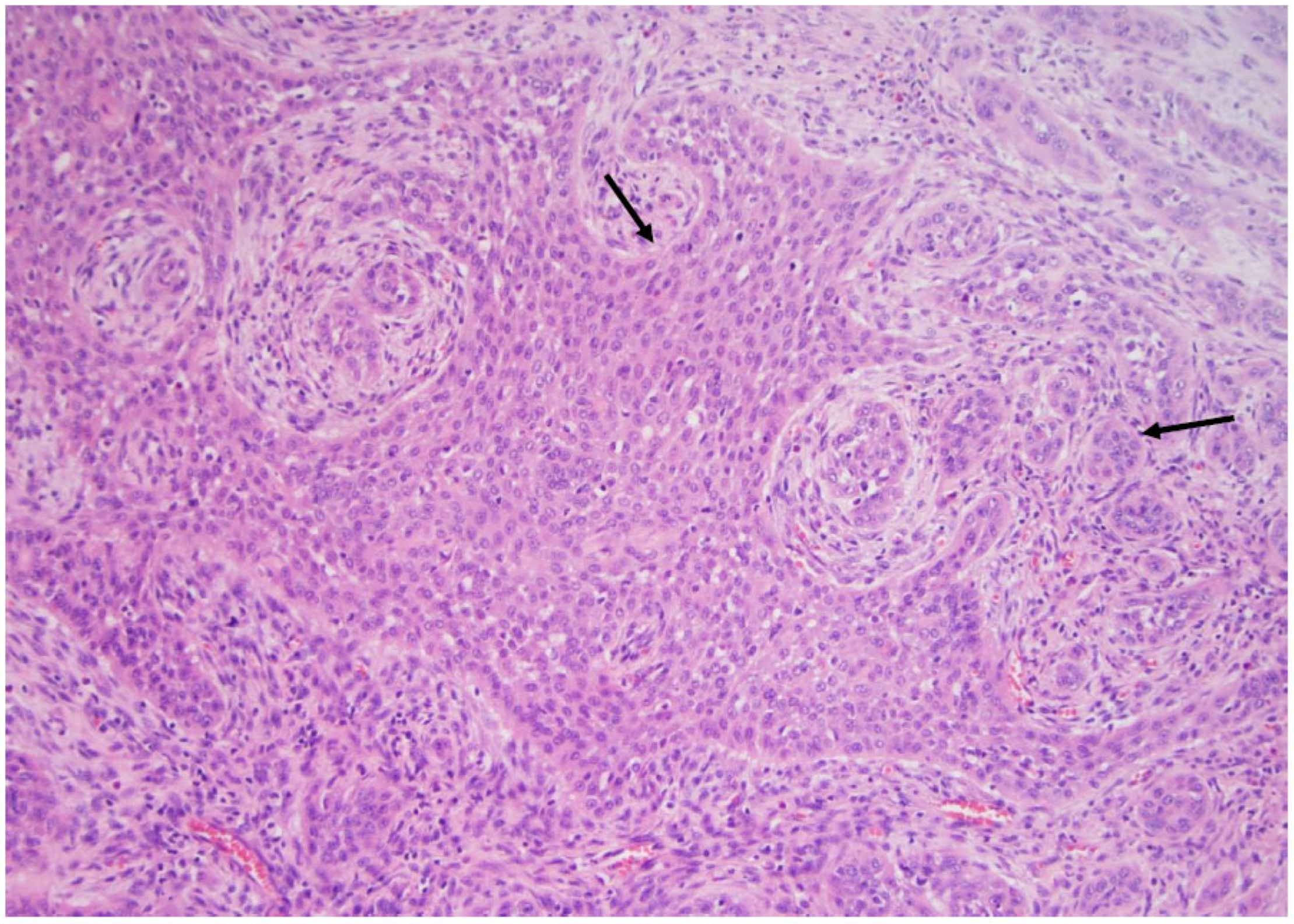 Curroncol 30 00562 g008