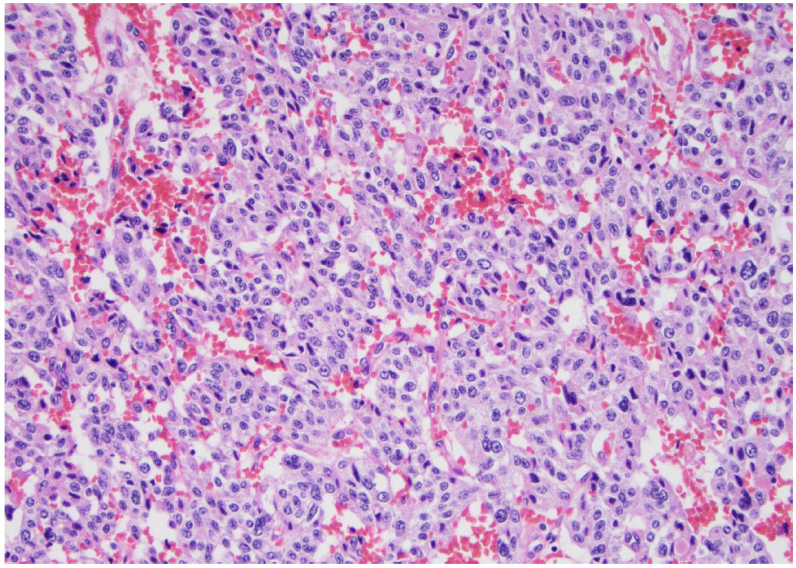 Curroncol 30 00562 g009