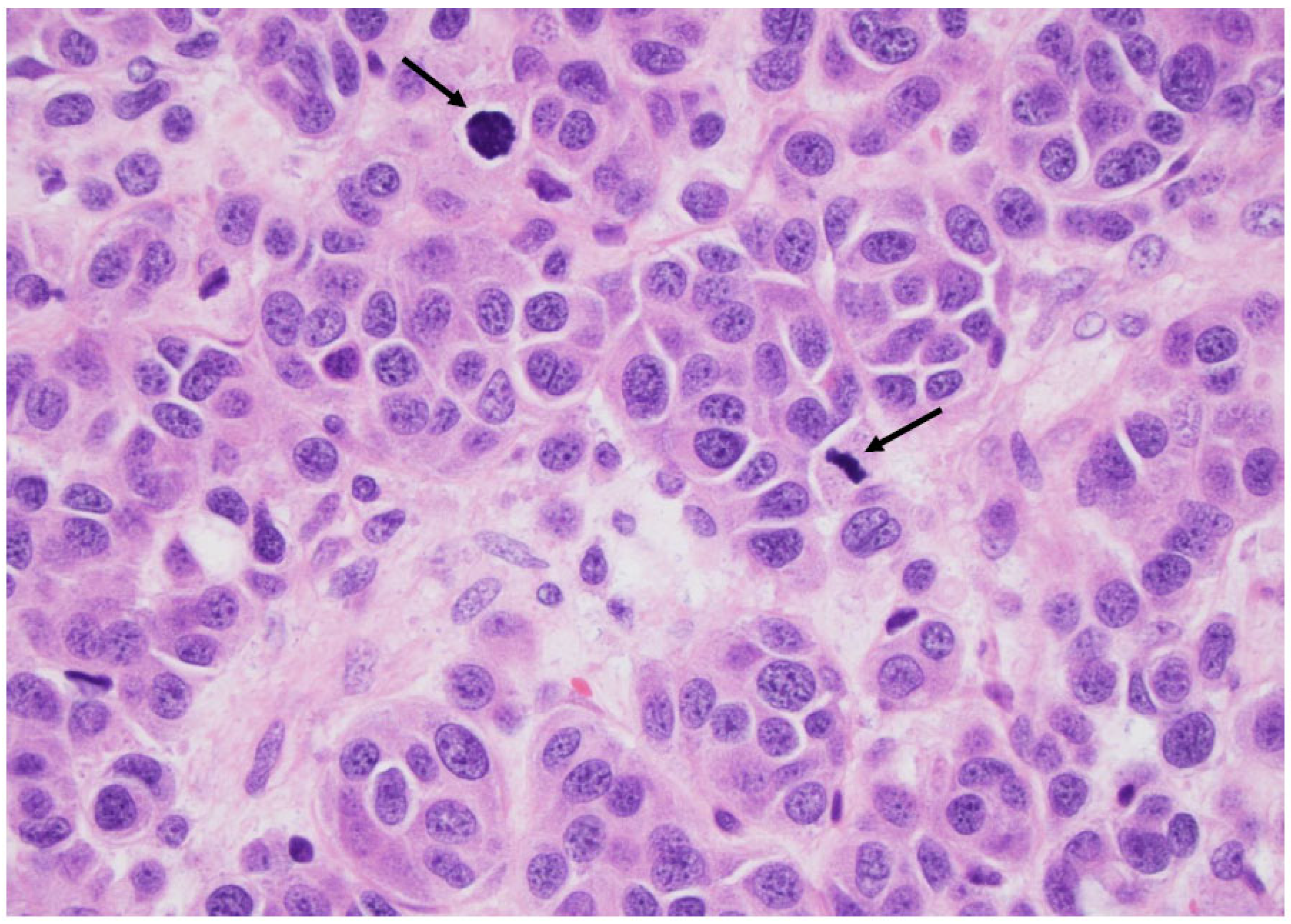 Curroncol 30 00562 g010