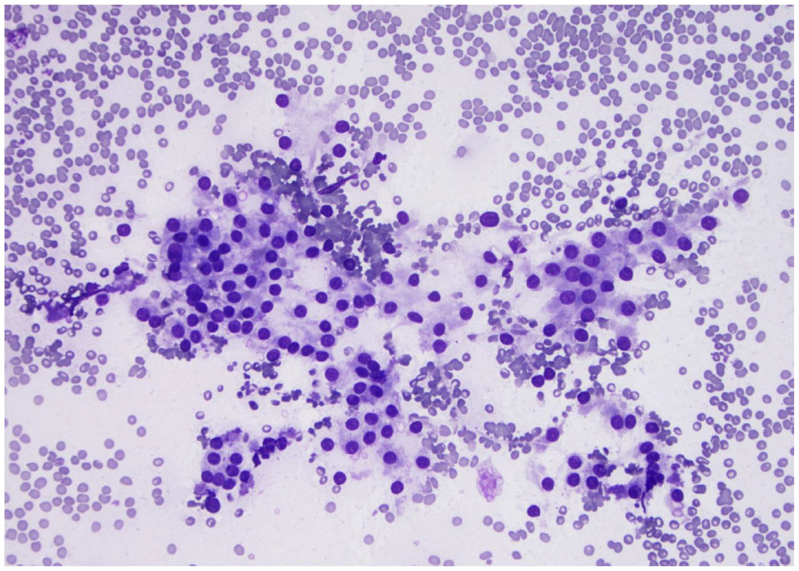 Curroncol 30 00562 g012