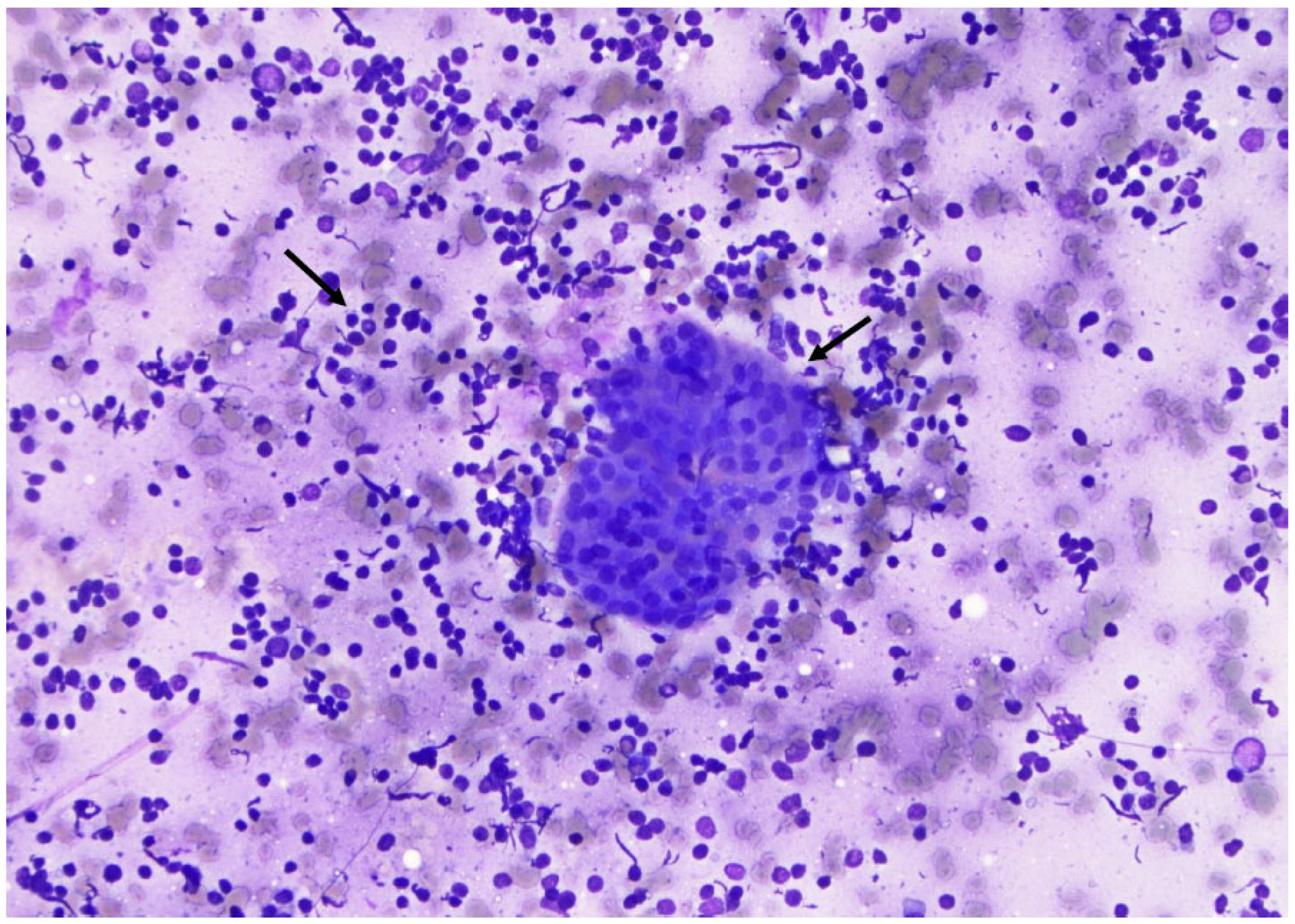 Curroncol 30 00562 g013