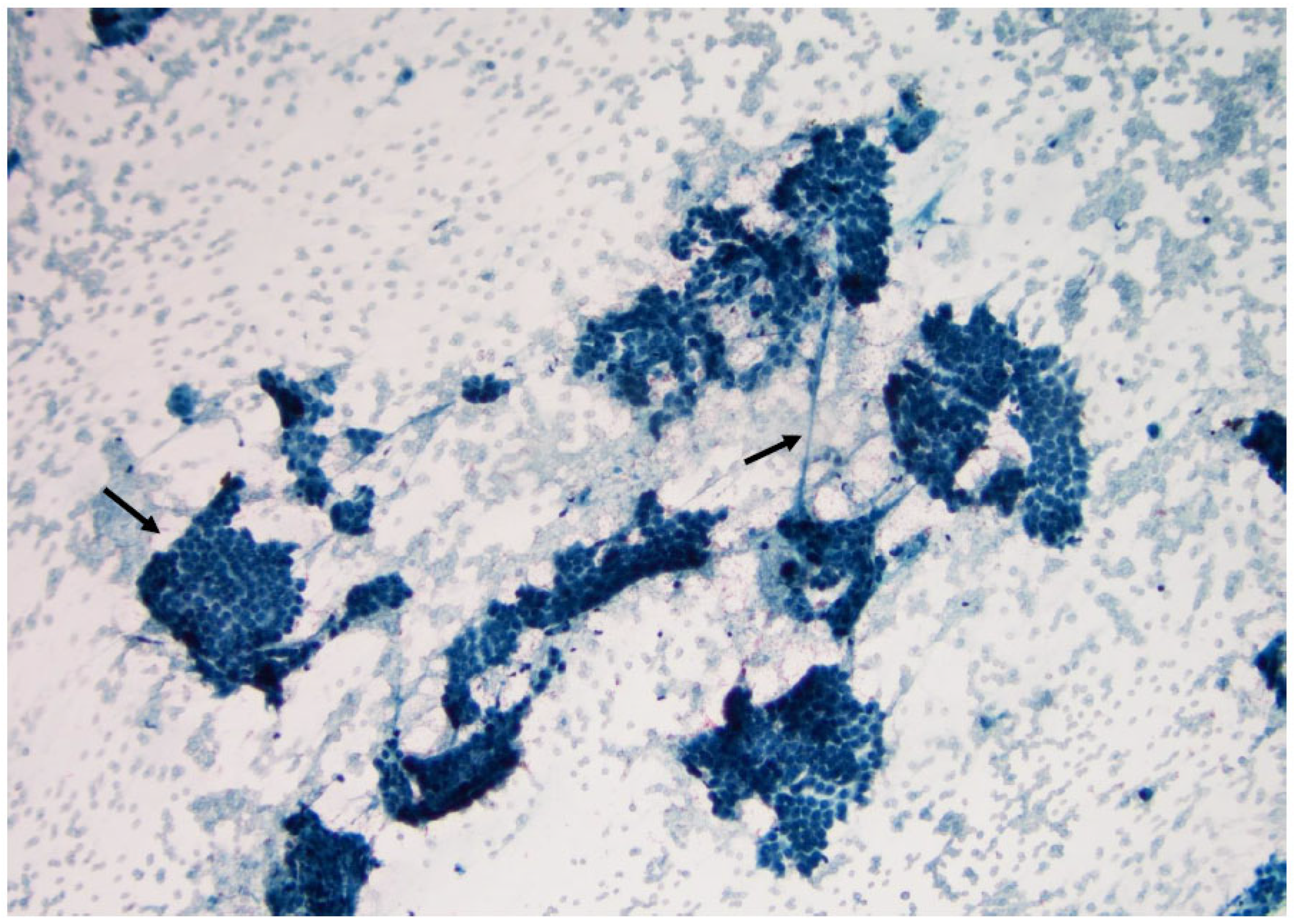 Curroncol 30 00562 g016