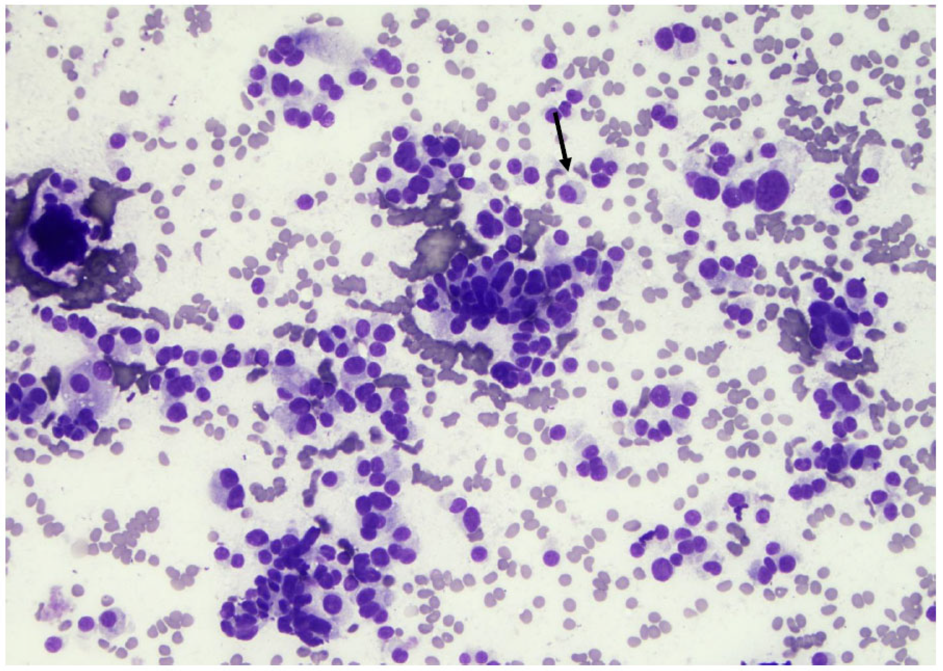 Curroncol 30 00562 g017