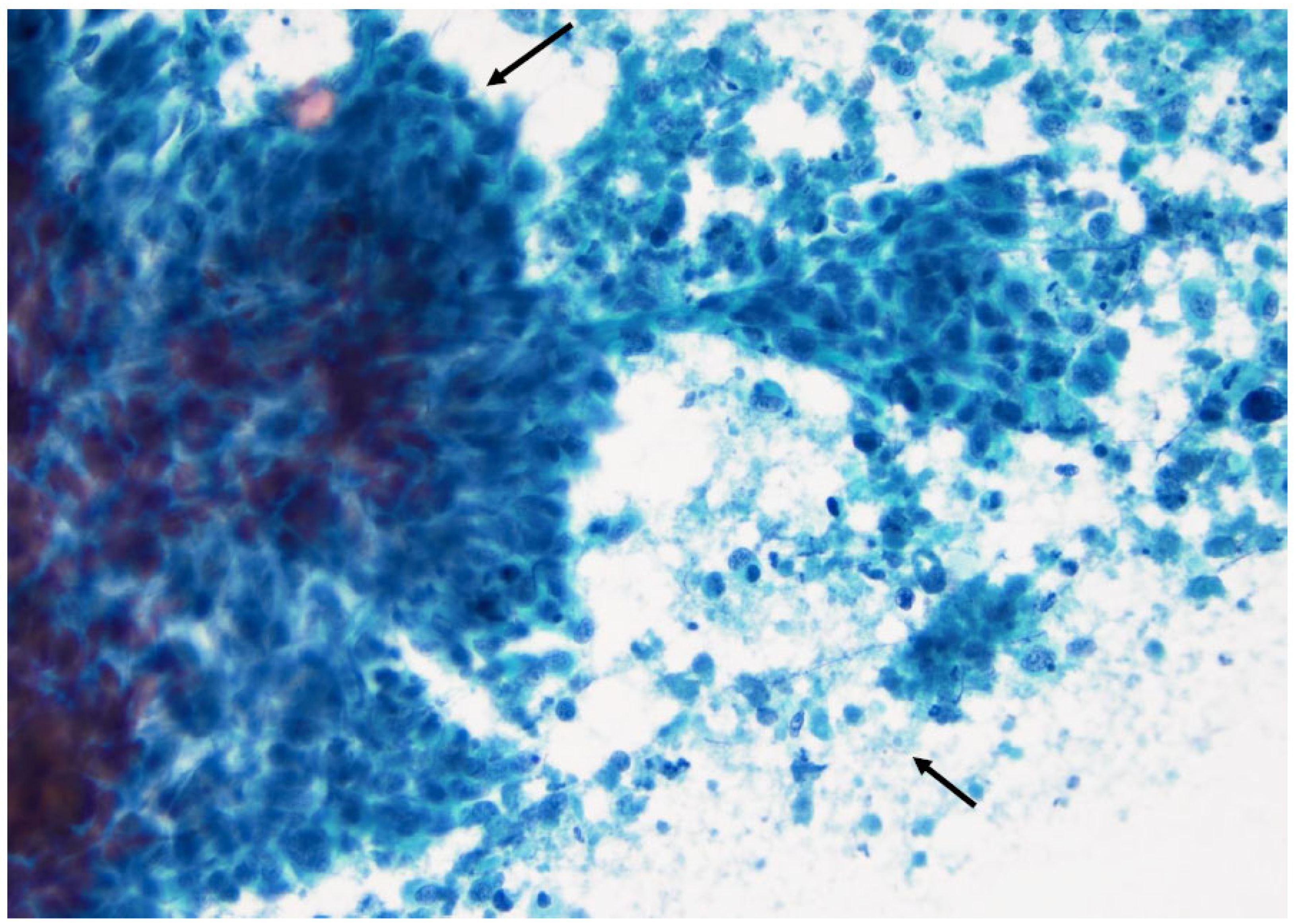 Curroncol 30 00562 g018