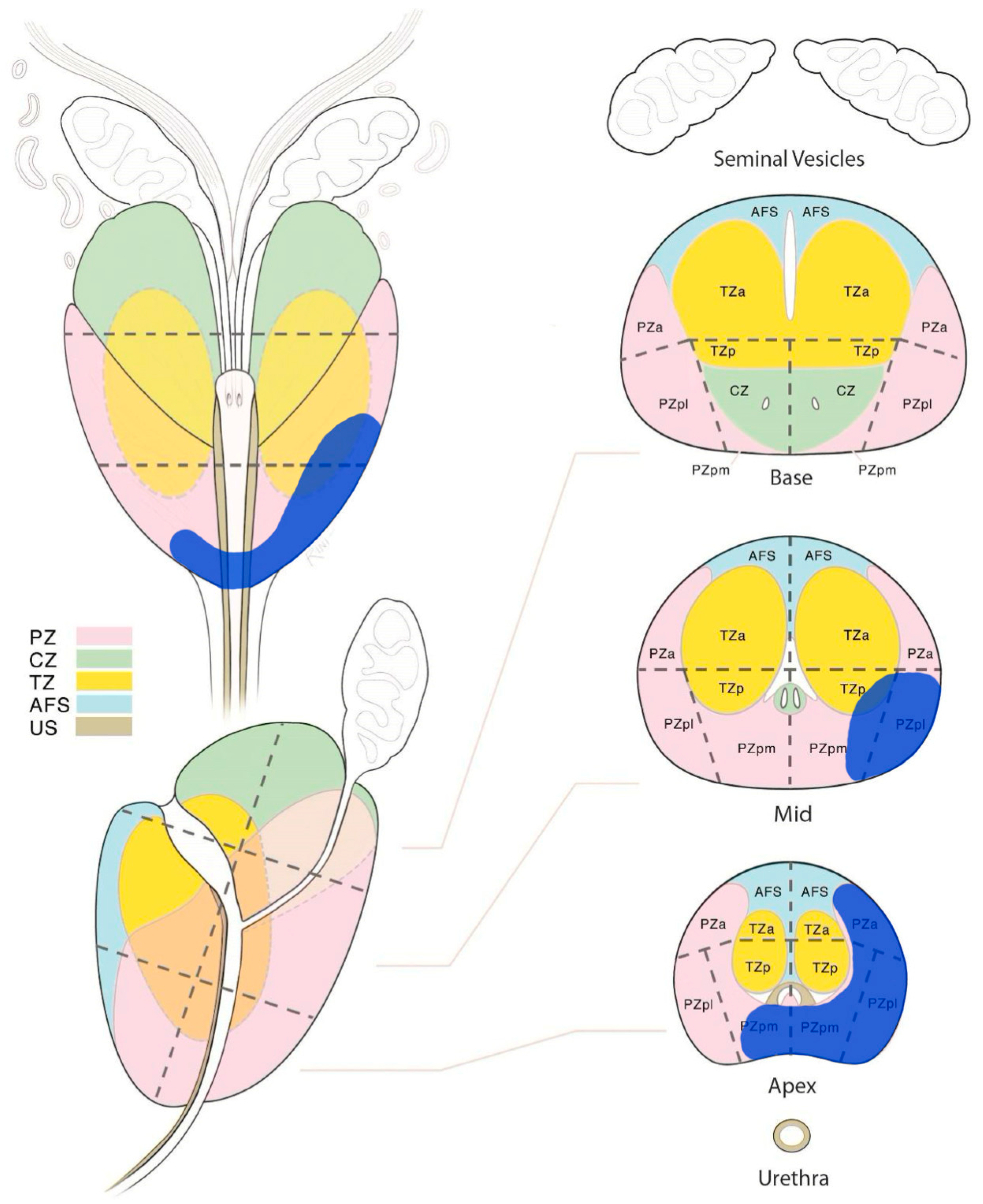 Curroncol 30 00576 g002