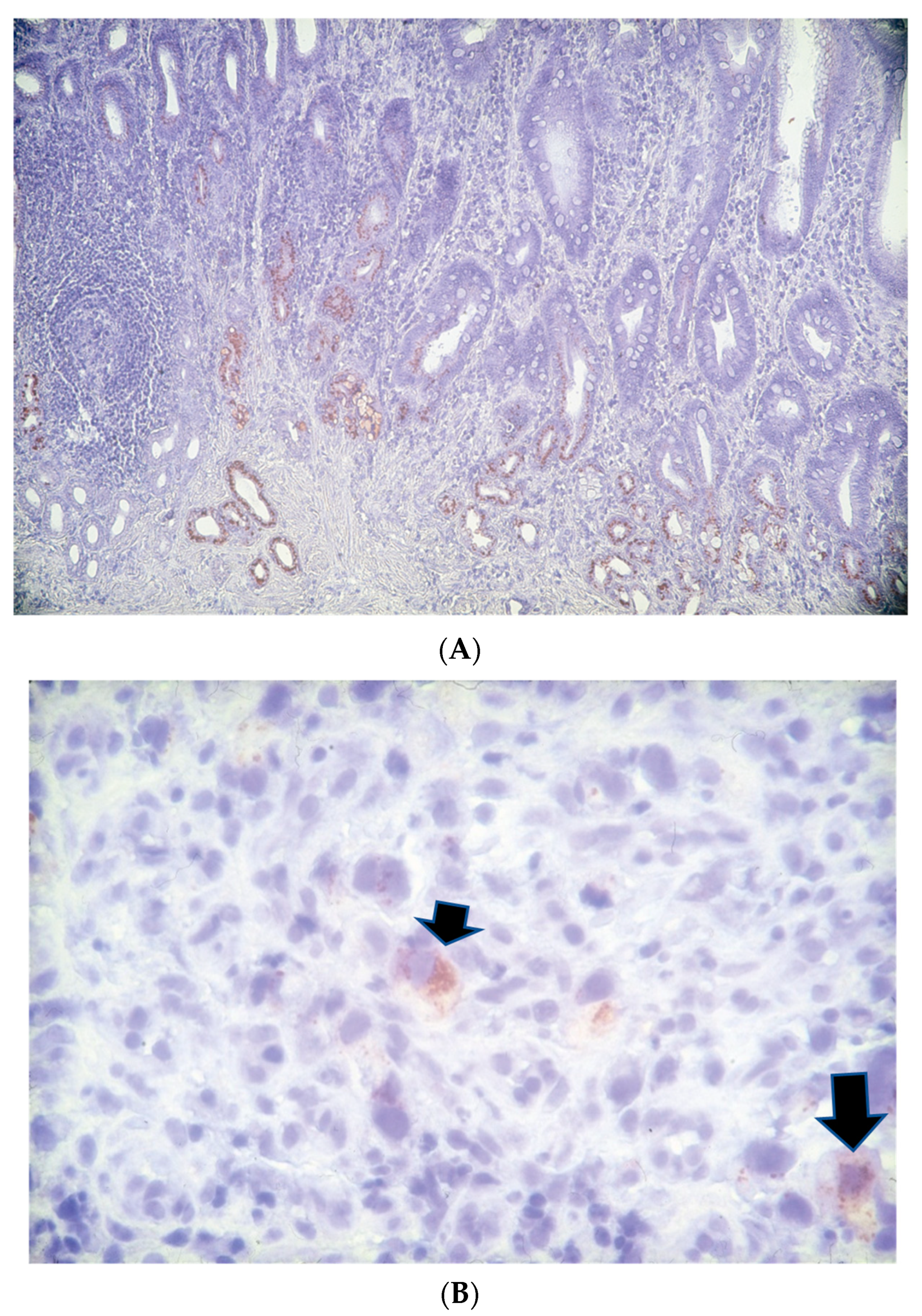Curroncol 30 00578 g004