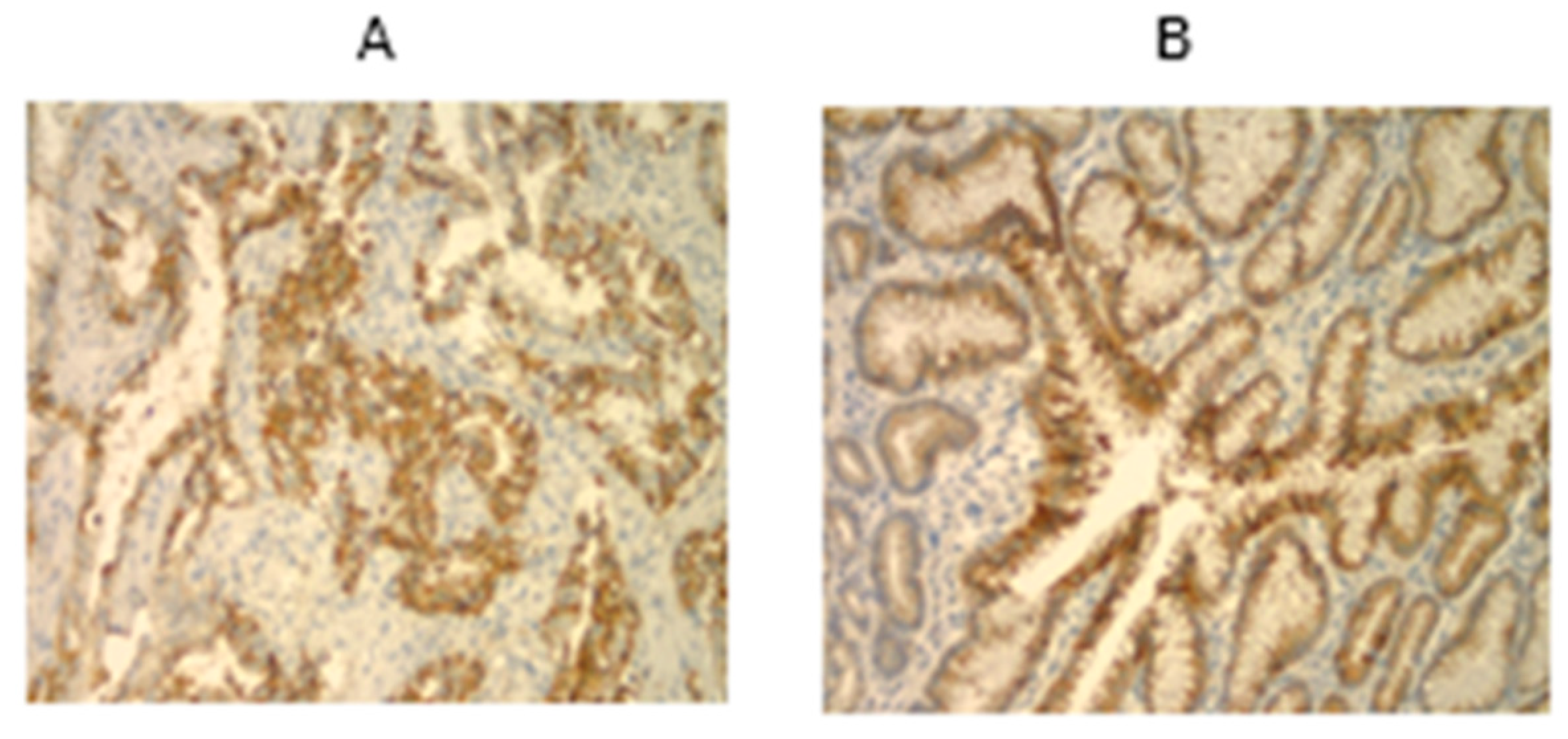 Curroncol 30 00578 g005