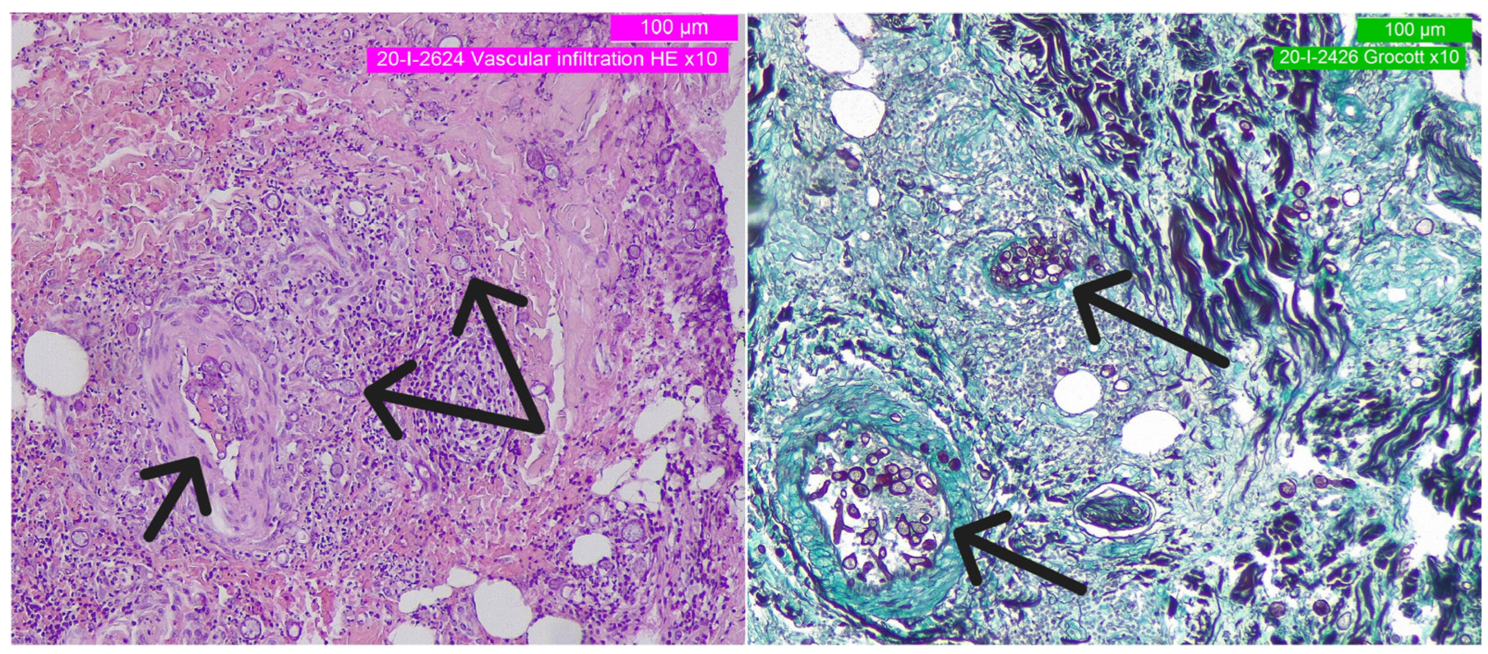 Curroncol 30 00599 g002