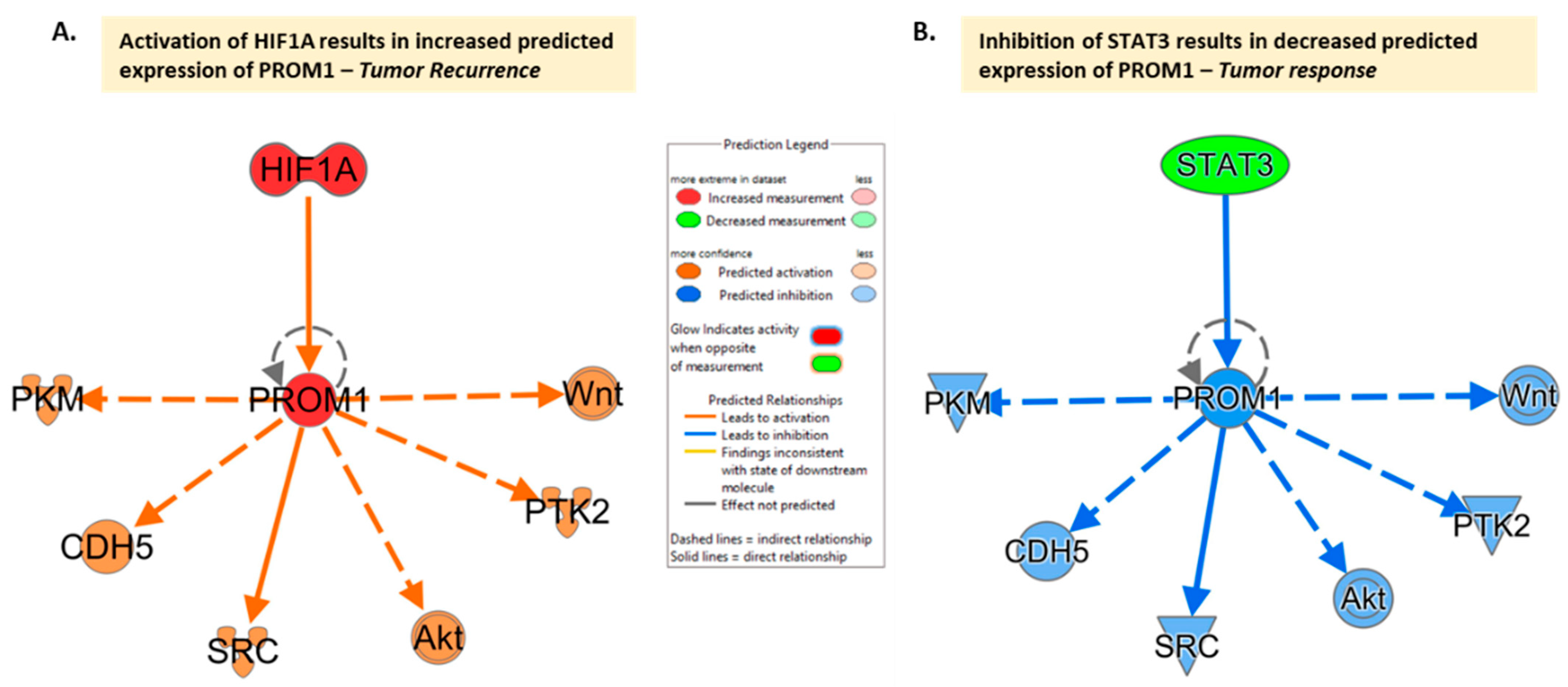 Curroncol 30 00601 g002