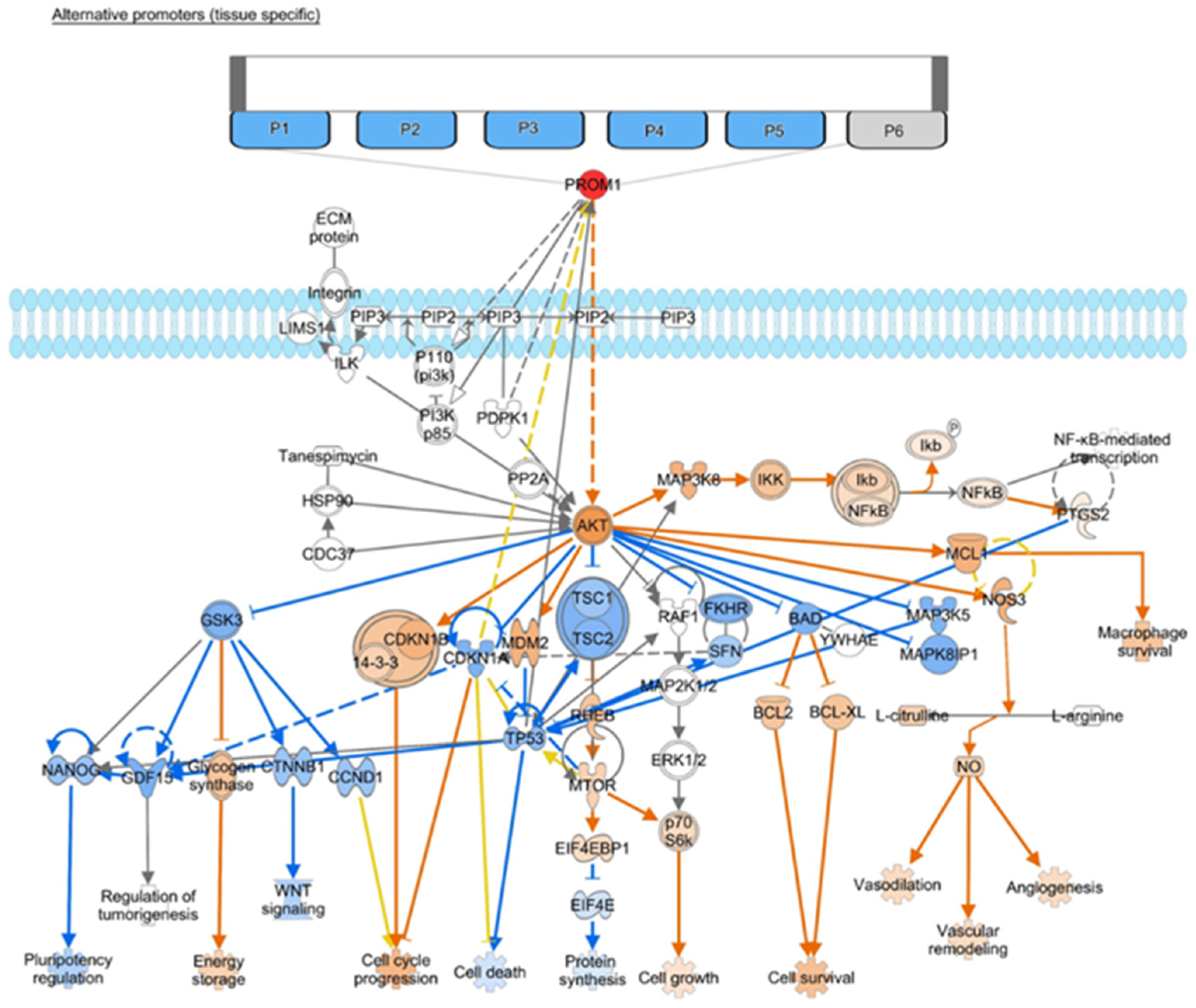 Curroncol 30 00601 g003