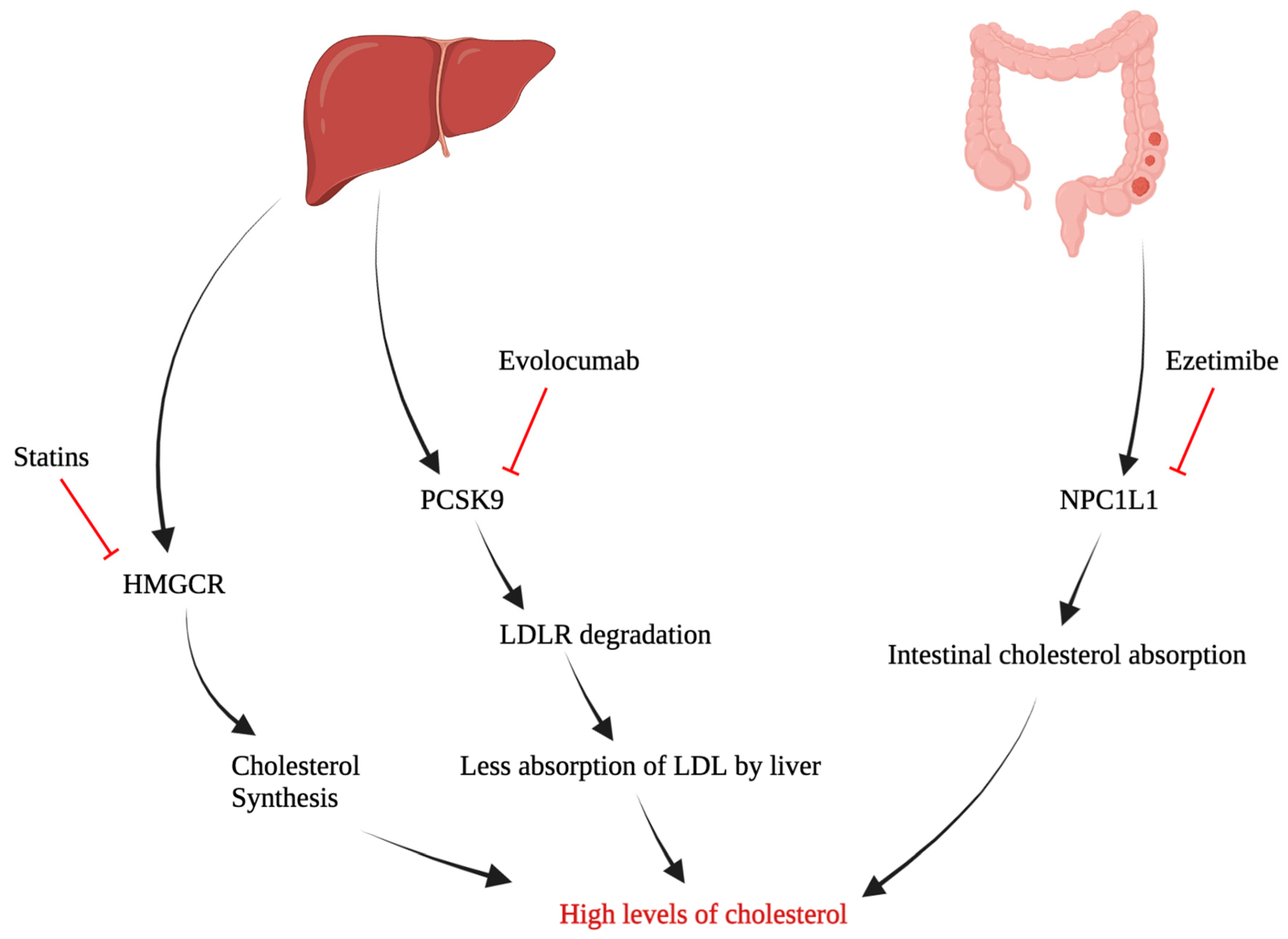 Curroncol 30 00609 g001