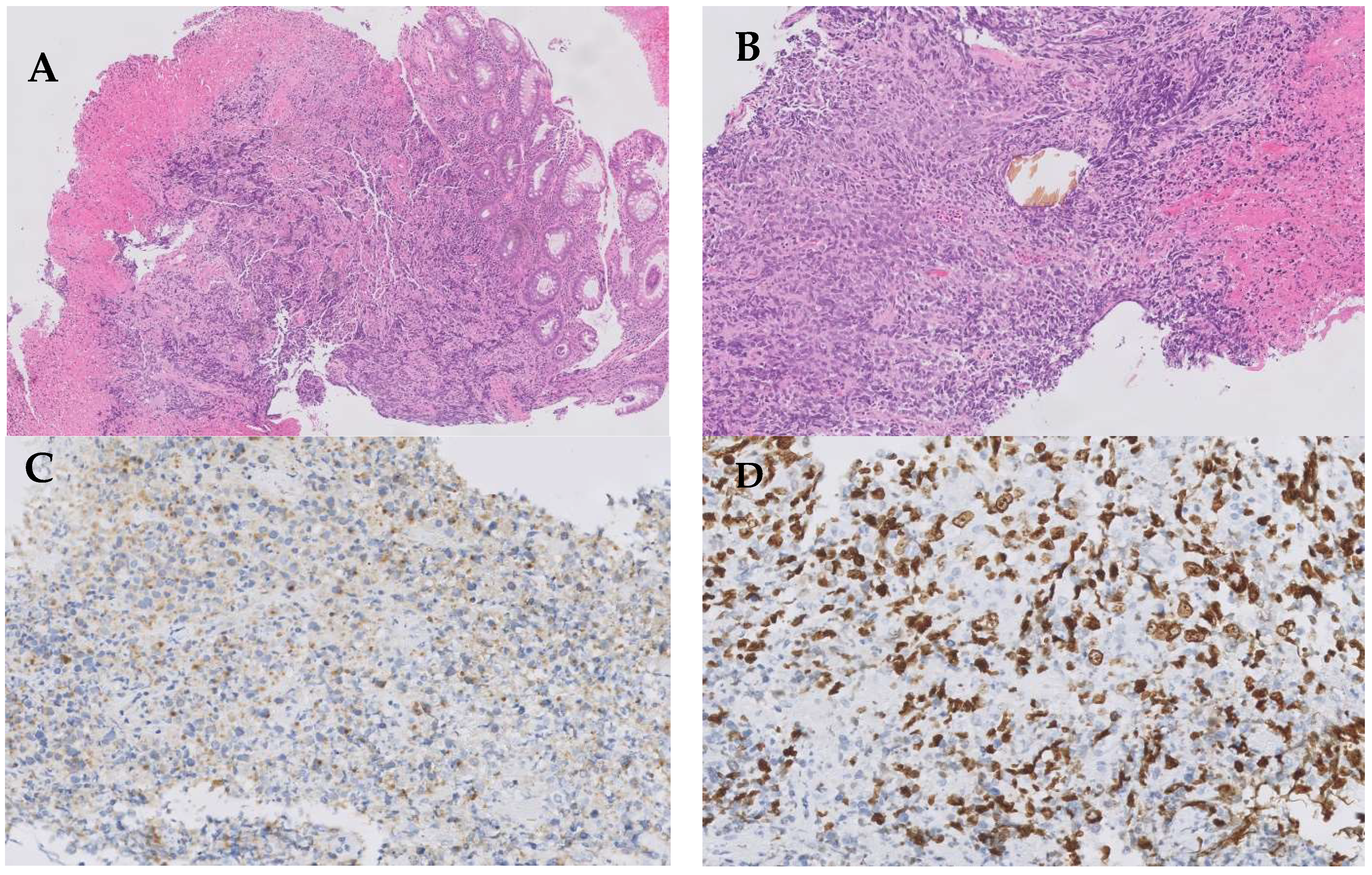 Curroncol 30 00613 g002