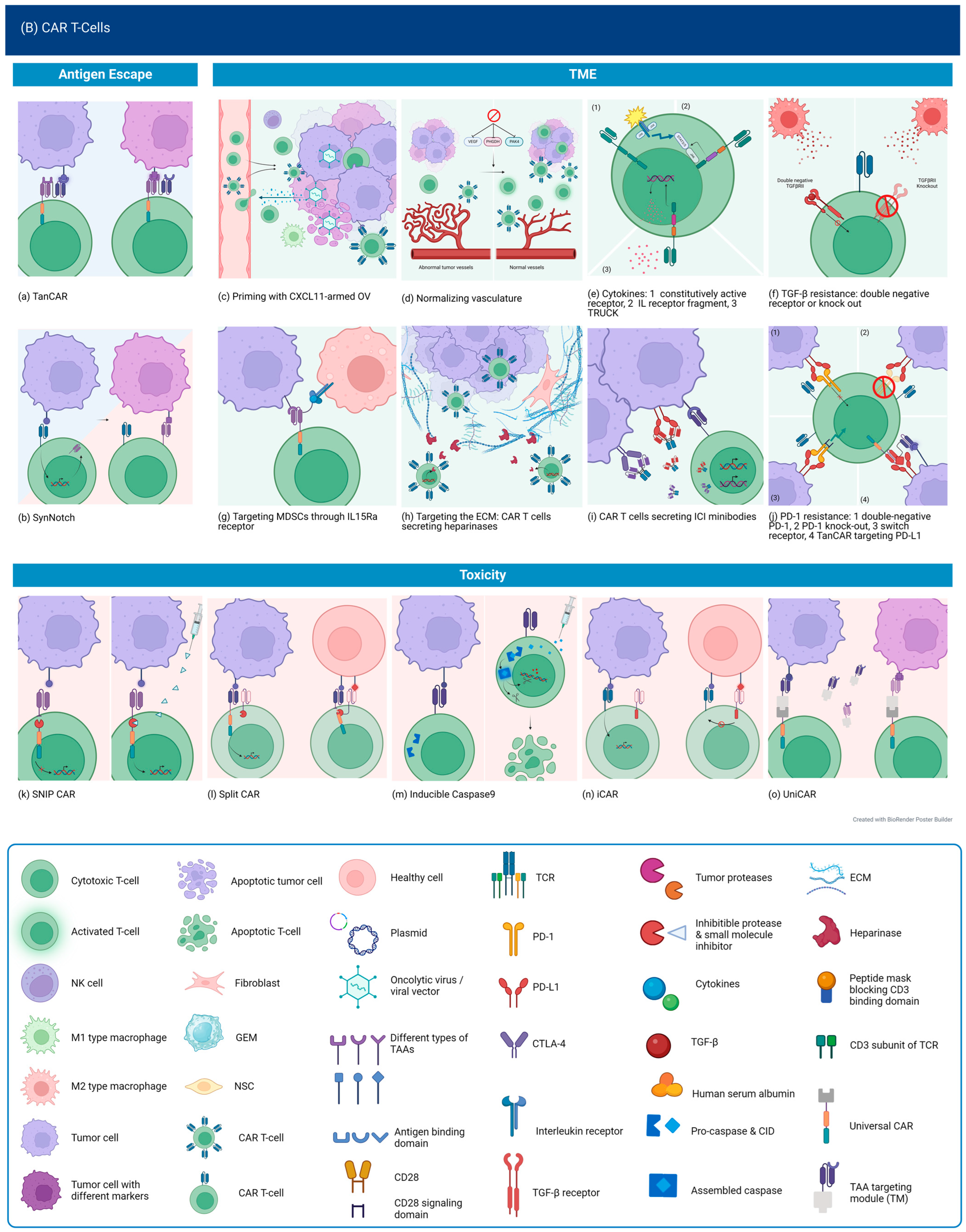 Curroncol 30 00619 g004b Curroncol 30 00619 g004b