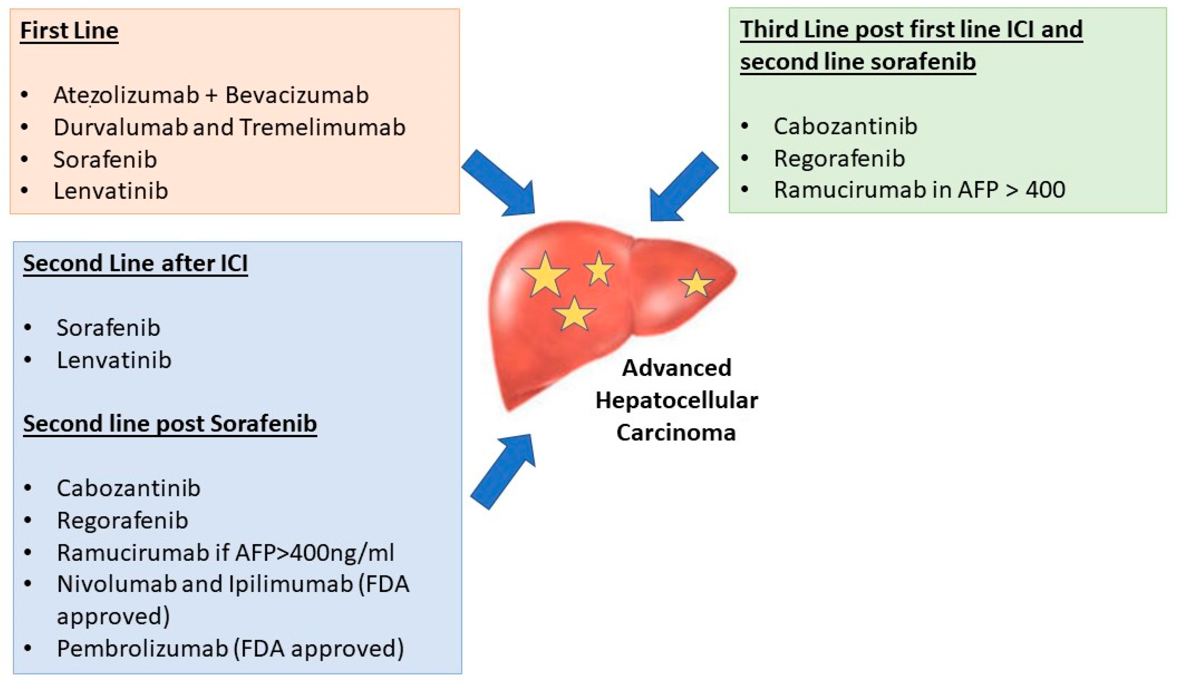 Curroncol 30 00628 g001