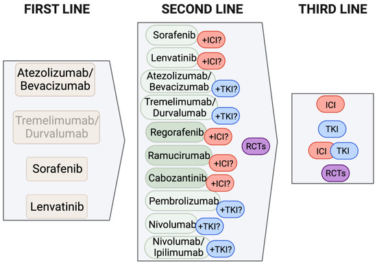 The New Era of Systemic Treatment for Hepatocellular Carcinoma: From ...