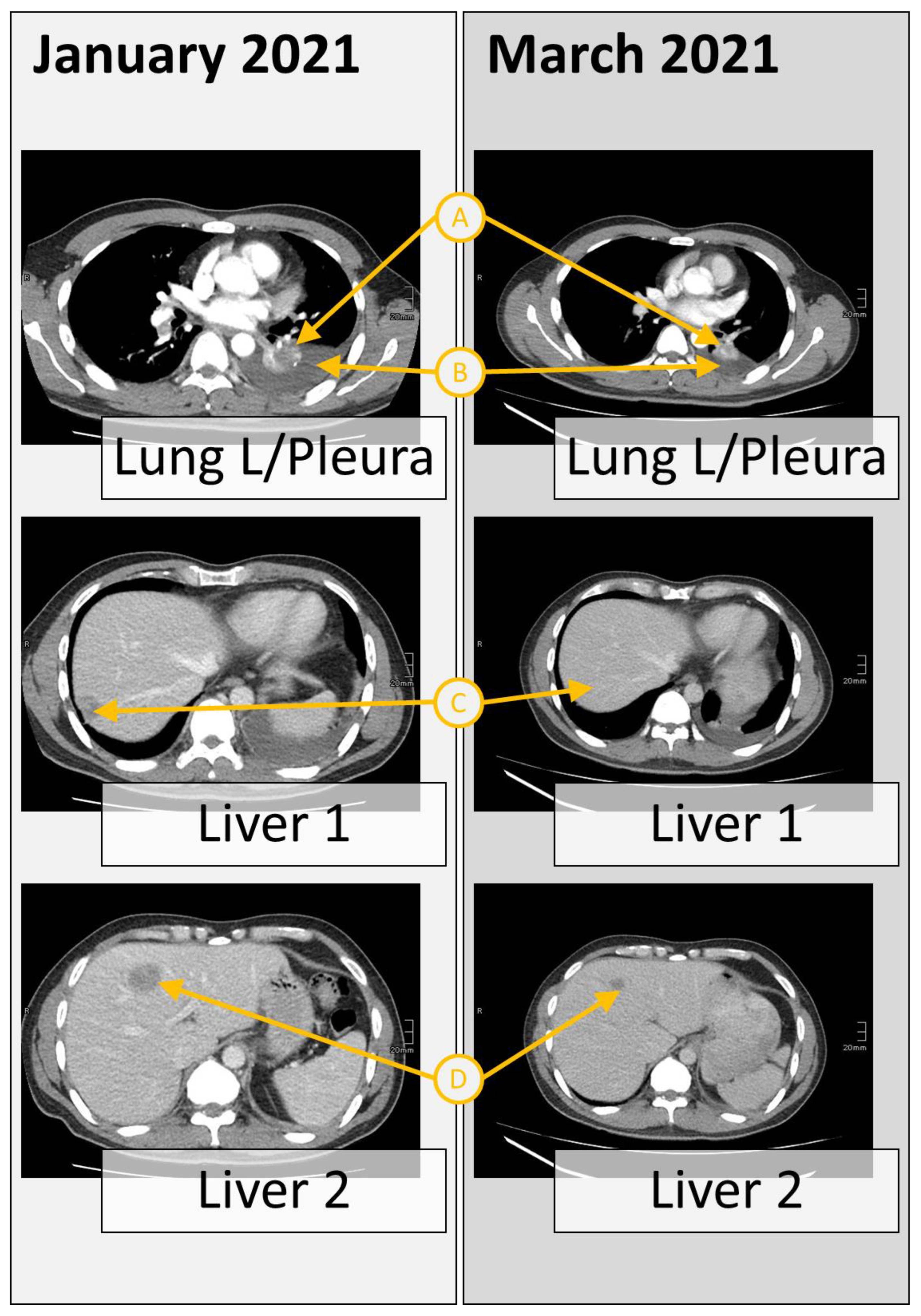 Curroncol 30 00635 g002