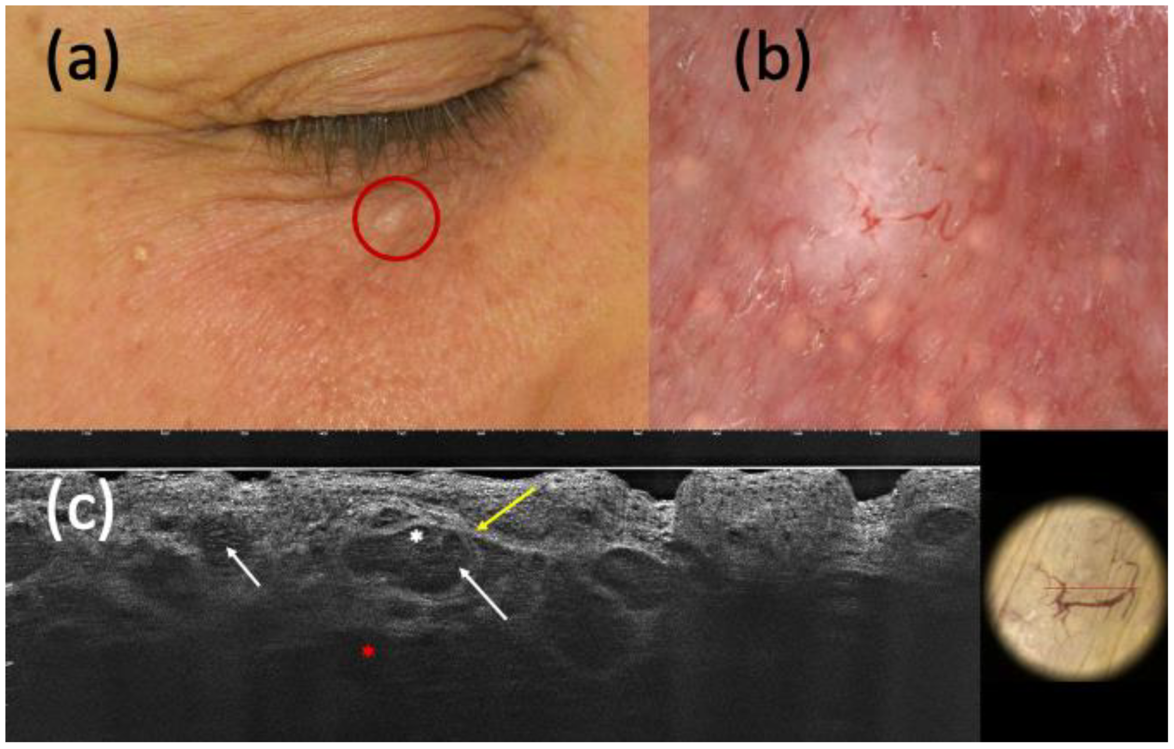 Curroncol 30 00639 g002