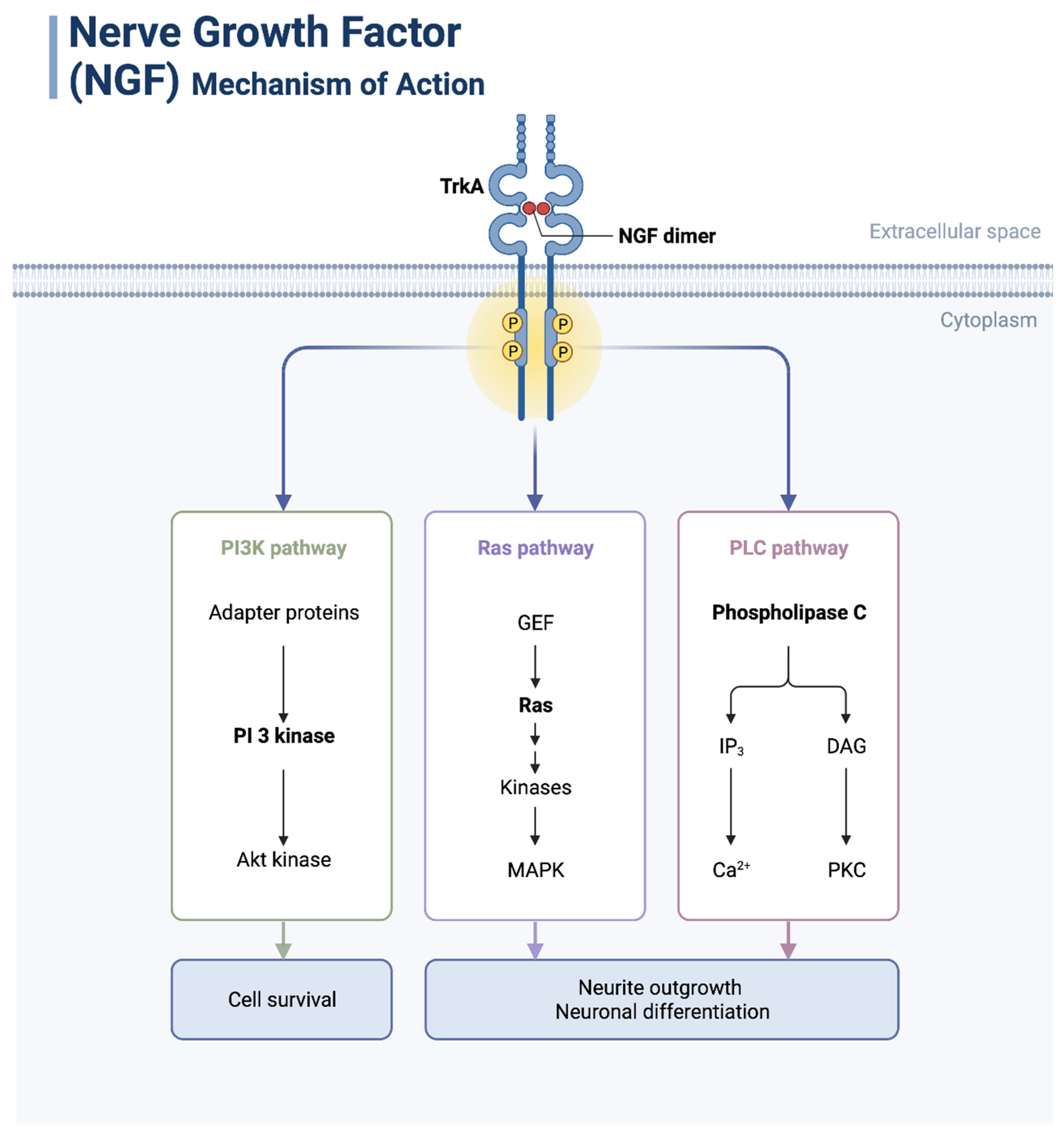 Curroncol 30 00647 g003